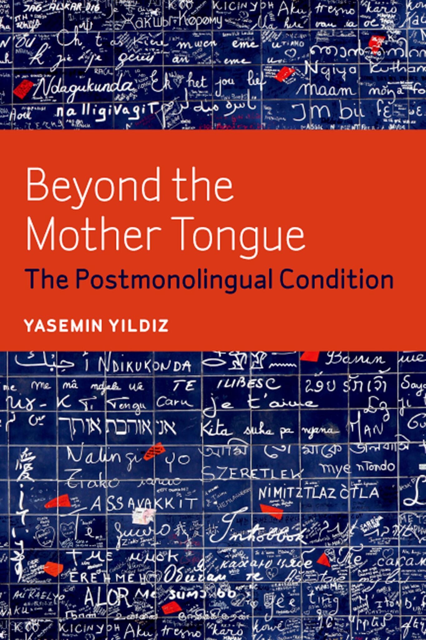Beyond the Mother Tongue