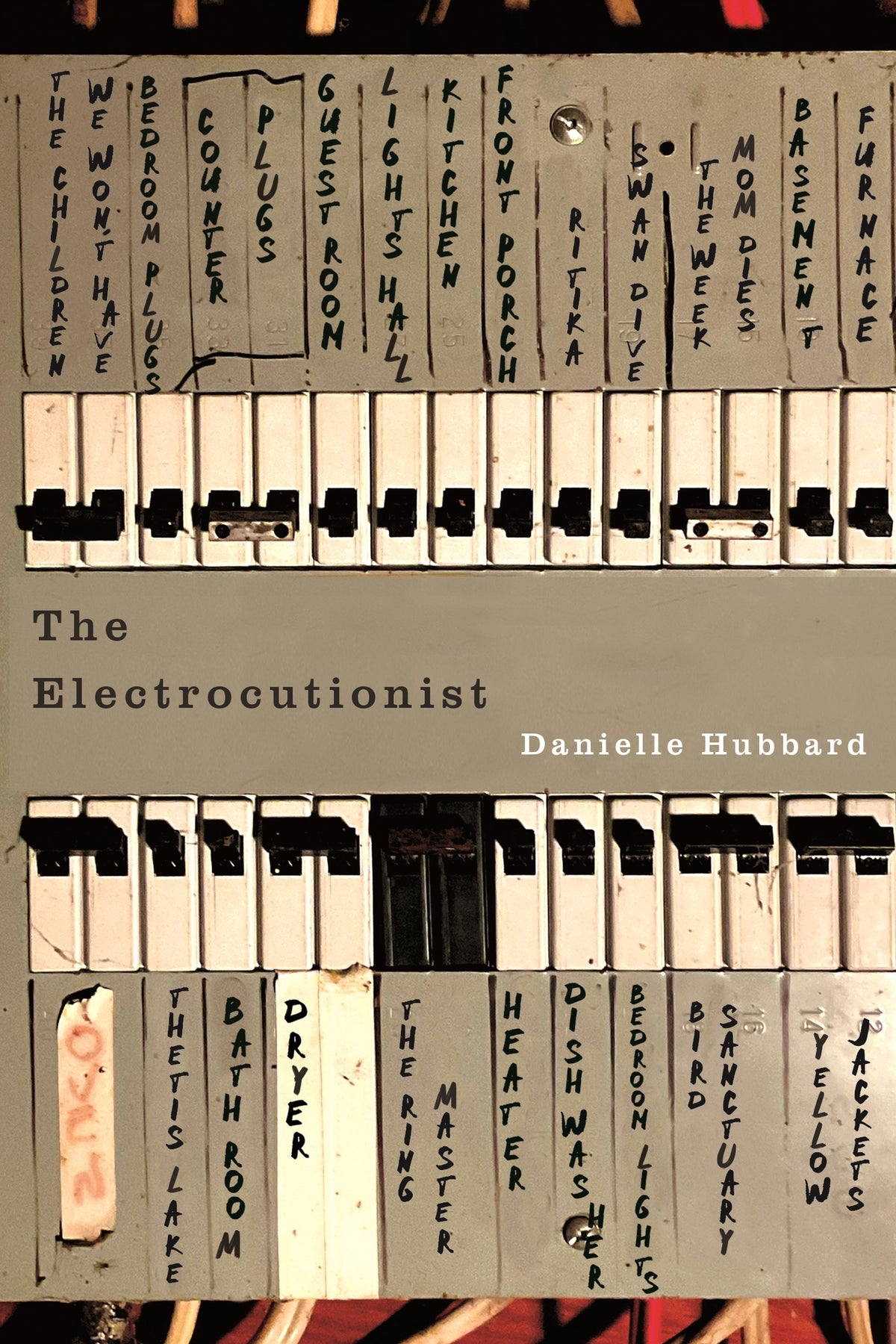 The Electrocutionist