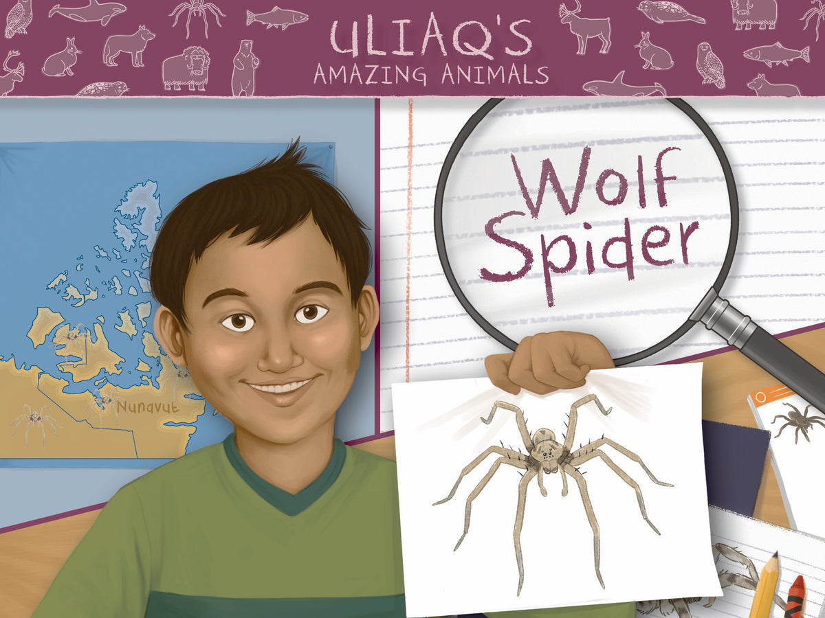 Cover image for Uliaq's Amazing Animals: Wolf Spider ISBN 9780228705345