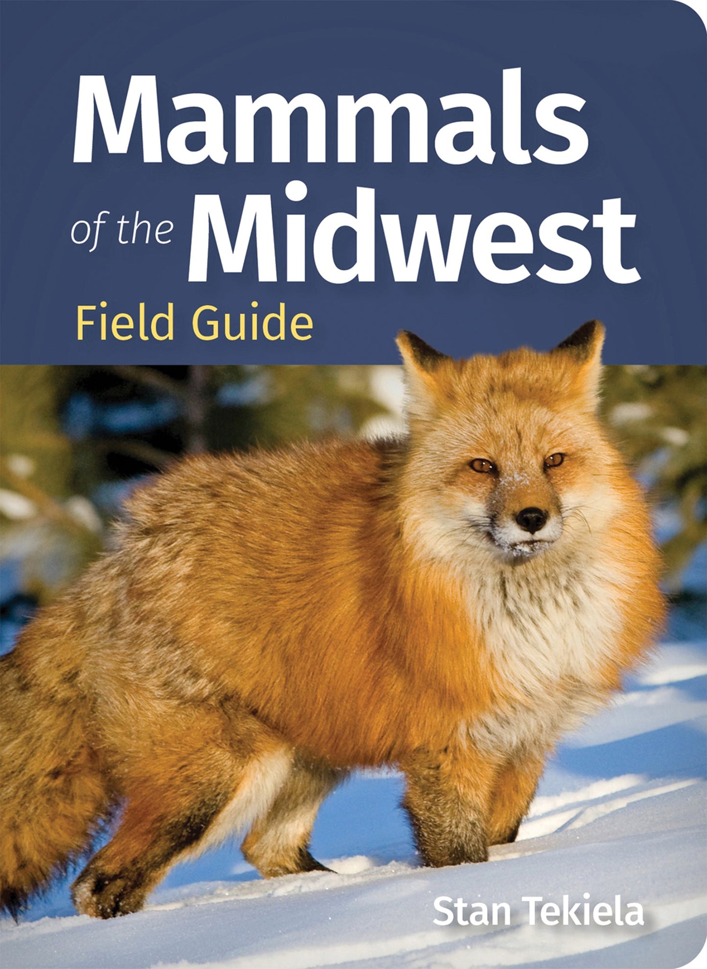 Cover image for Mammals of the Midwest Field Guide ISBN 9781647555924