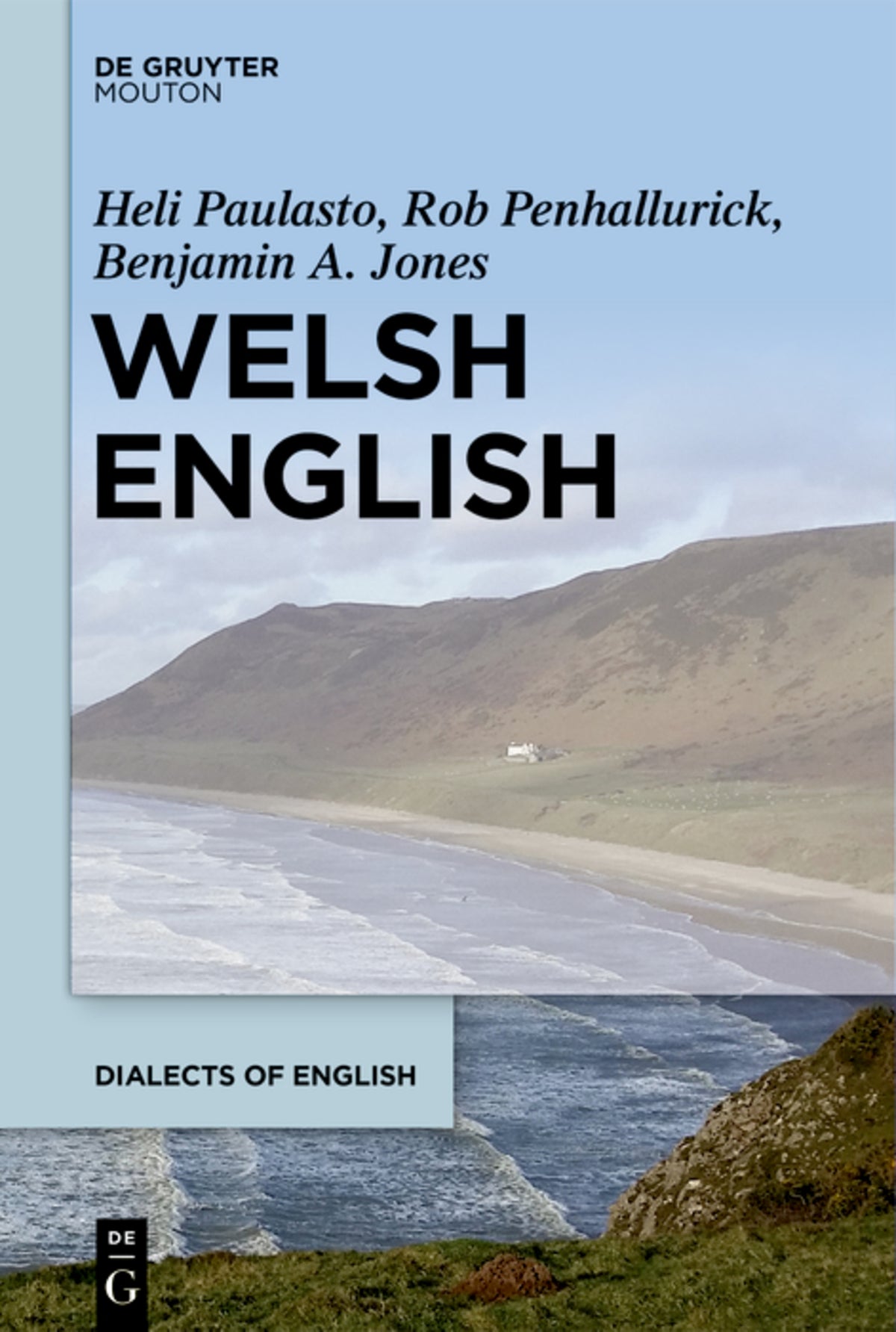 Cover image for Welsh English ISBN 9781614513810