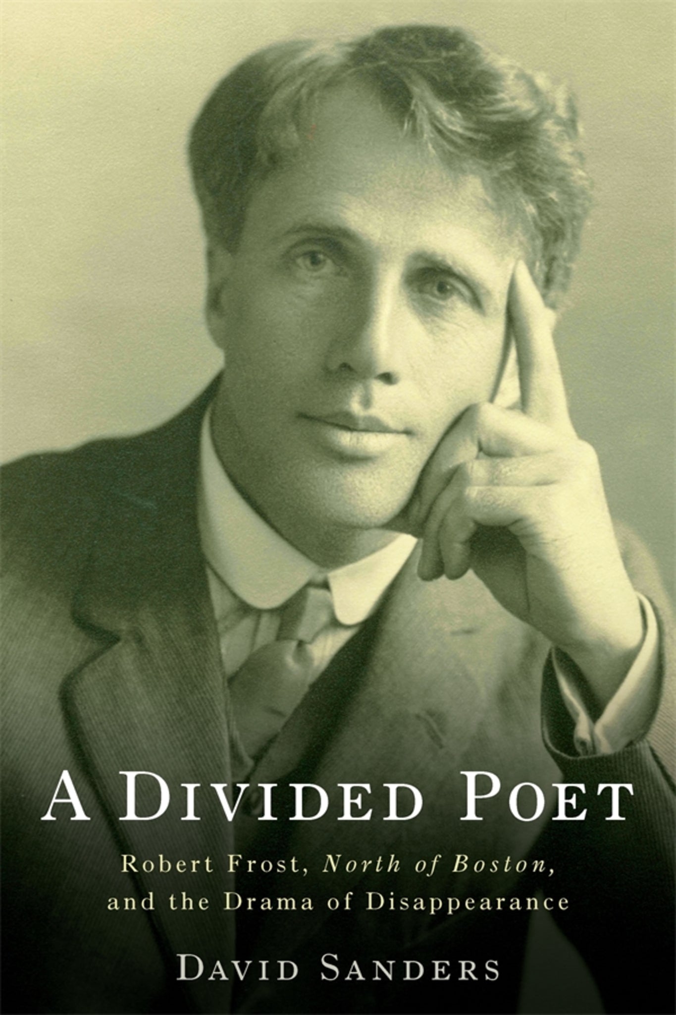 Cover image for A Divided Poet ISBN 9781571134998