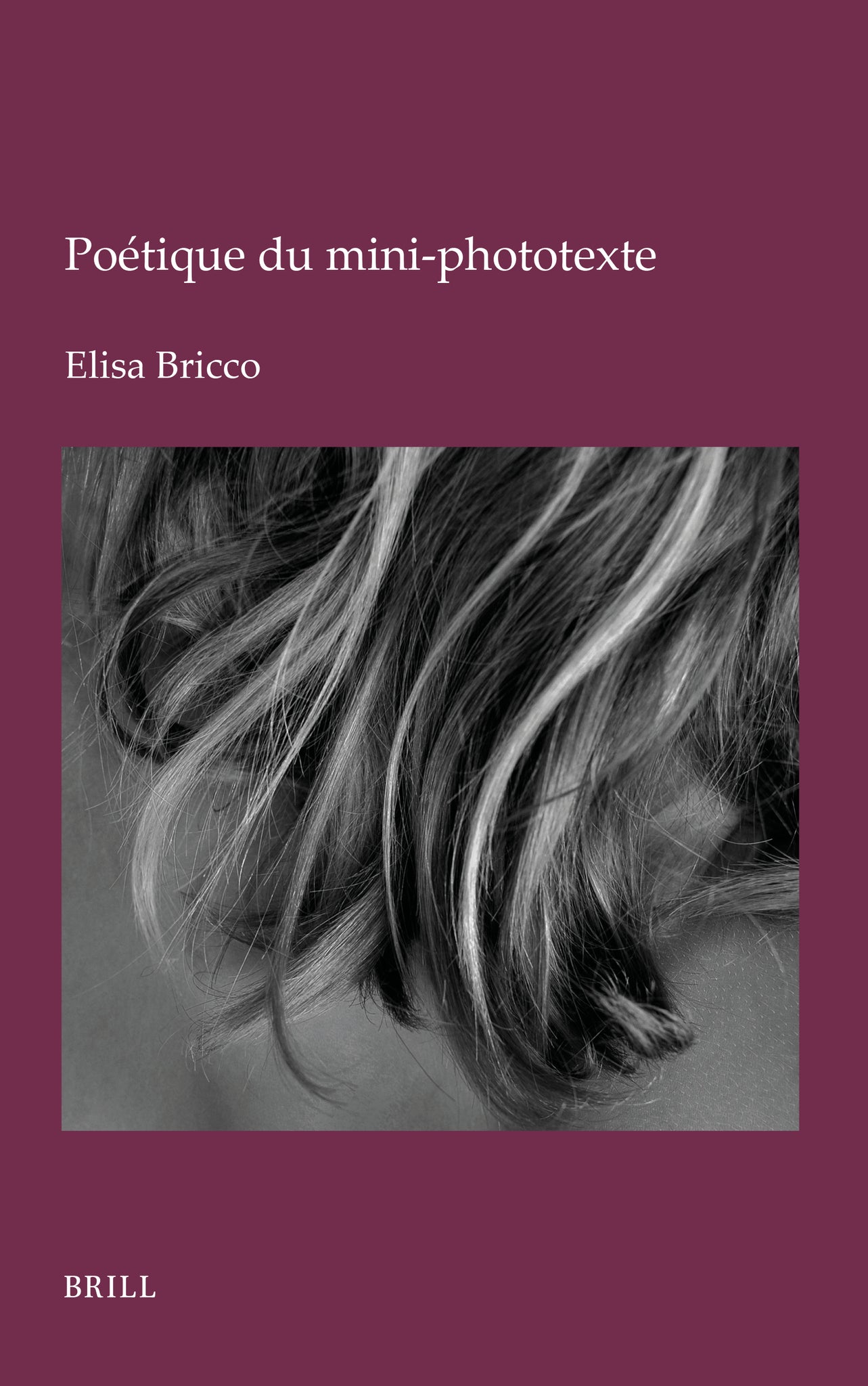 Poétique du mini-phototexte