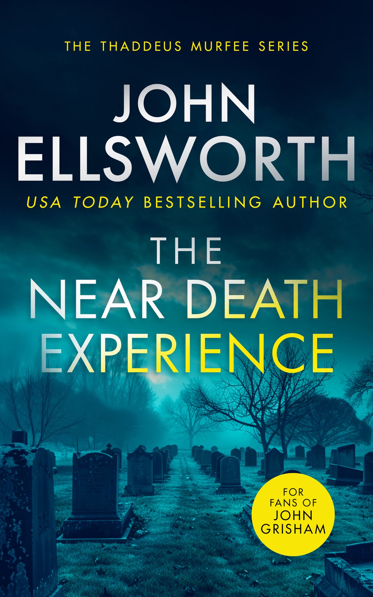 Cover image for The Near Death Experience ISBN 9781036700232