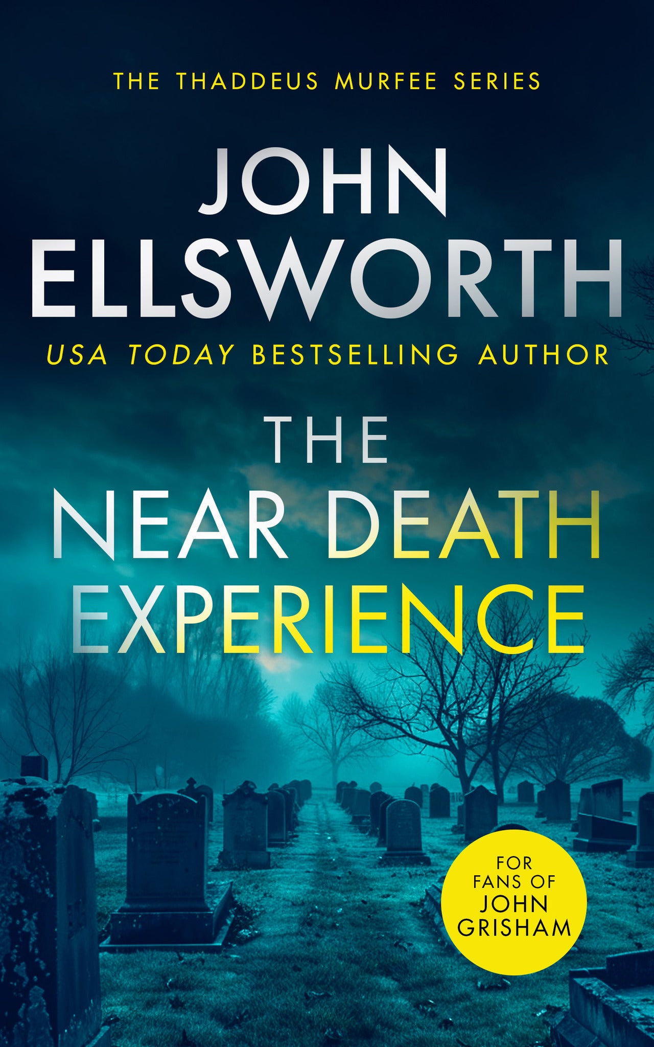 Cover image for The Near Death Experience ISBN 9781036700232