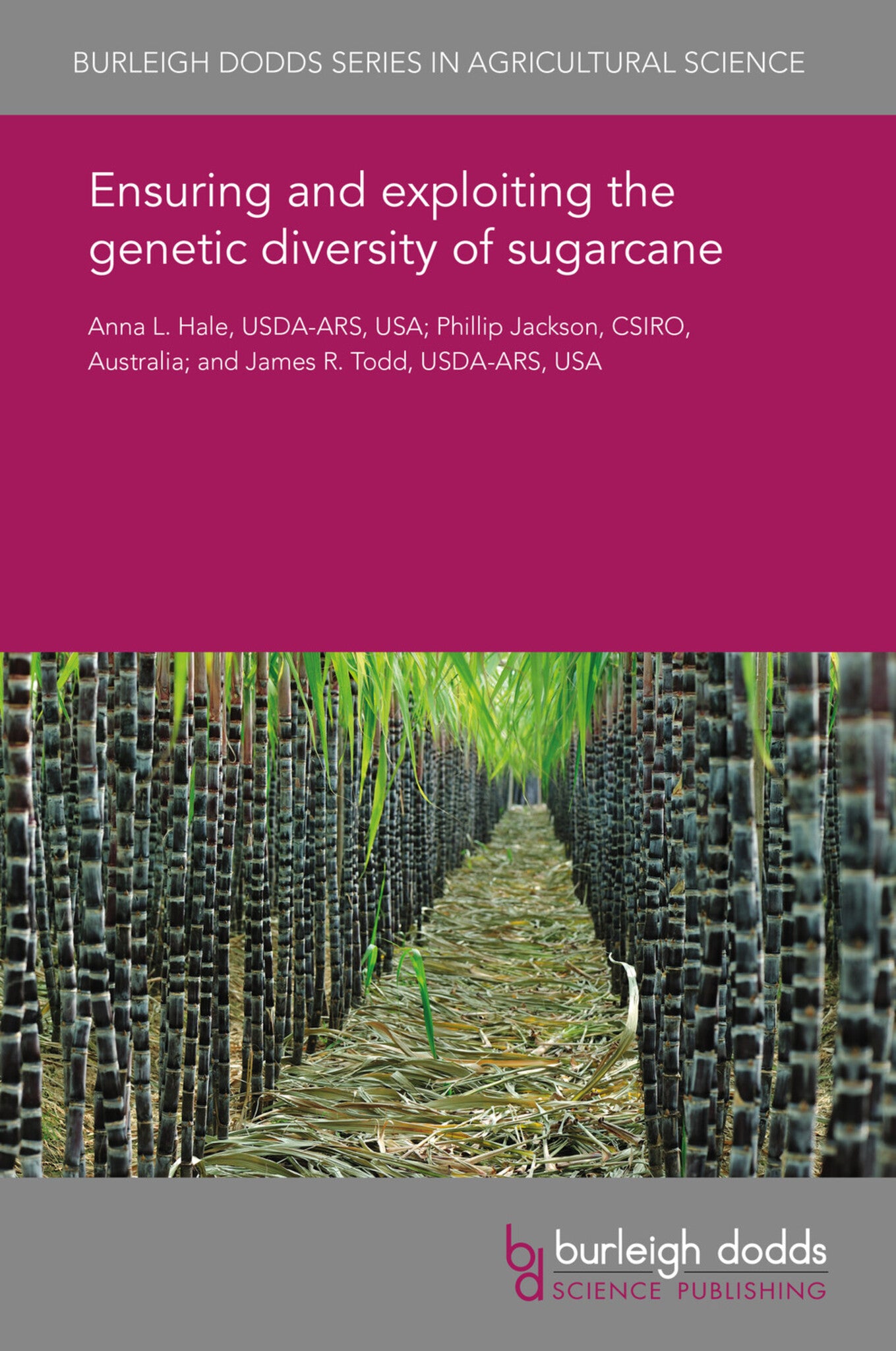 Cover image for Ensuring and exploiting the genetic diversity of sugarcane ISBN 9781838795818