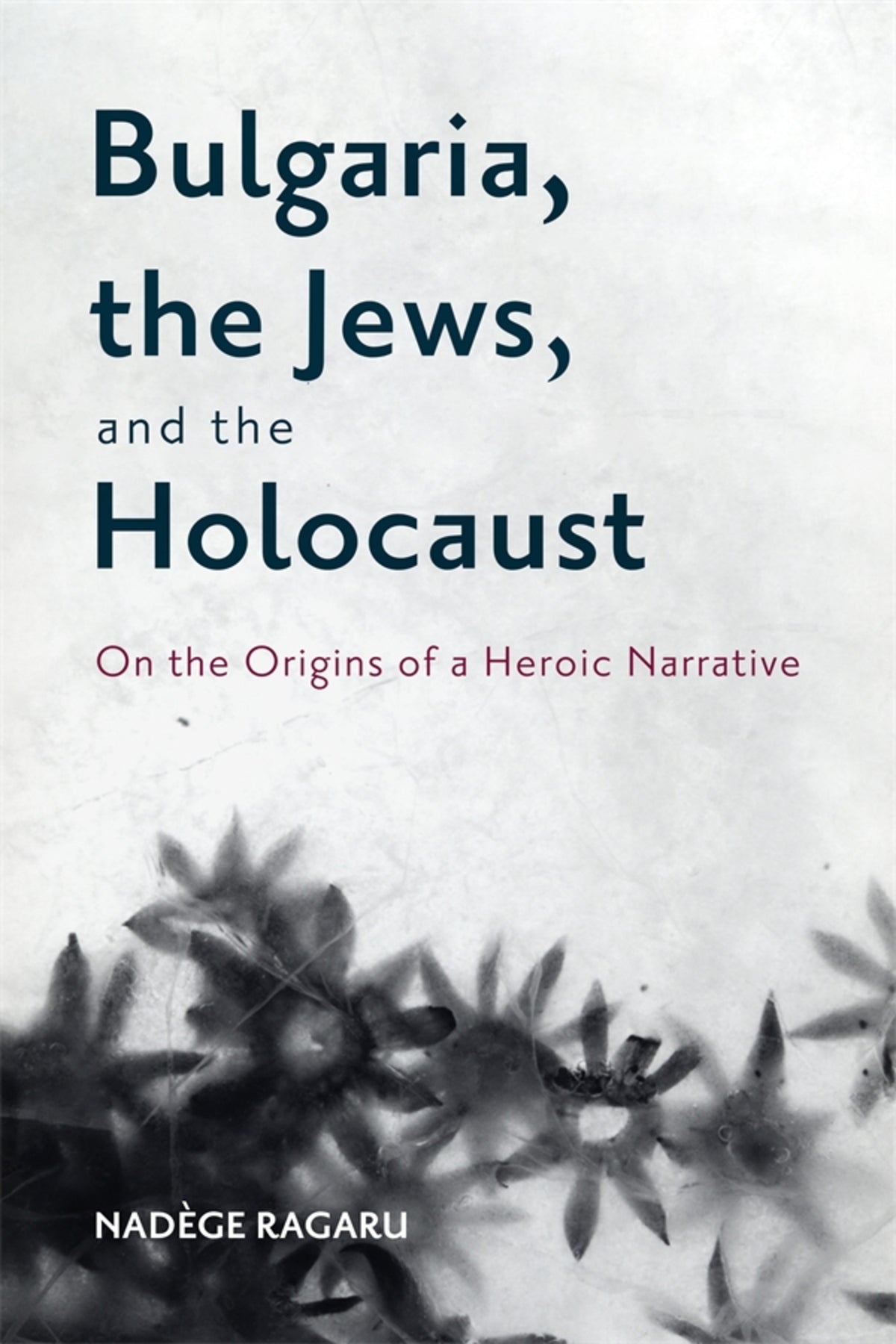Cover image for Bulgaria, the Jews, and the Holocaust ISBN 9781648250705