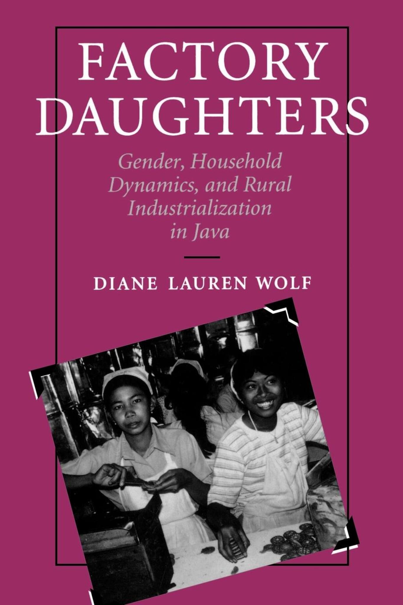 Cover image for Factory Daughters ISBN 9780520915046