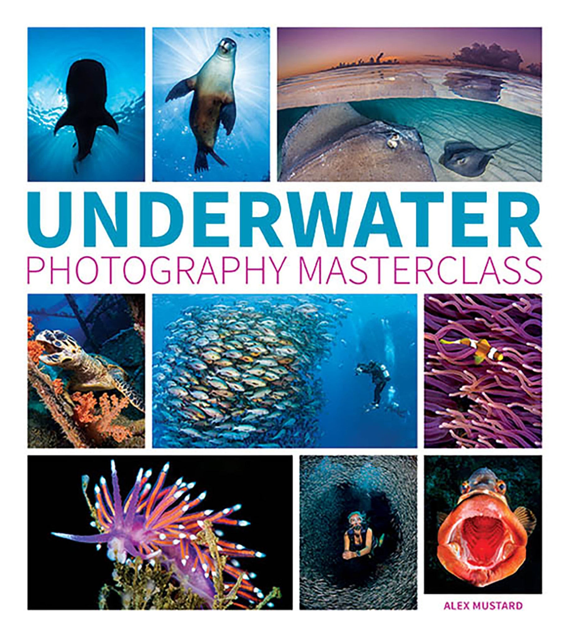Cover image for Underwater Photography Masterclass ISBN 9781781452226