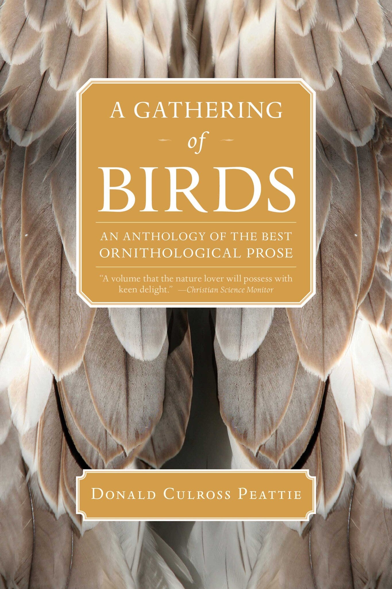 Cover image for A Gathering of Birds ISBN 9781595341624