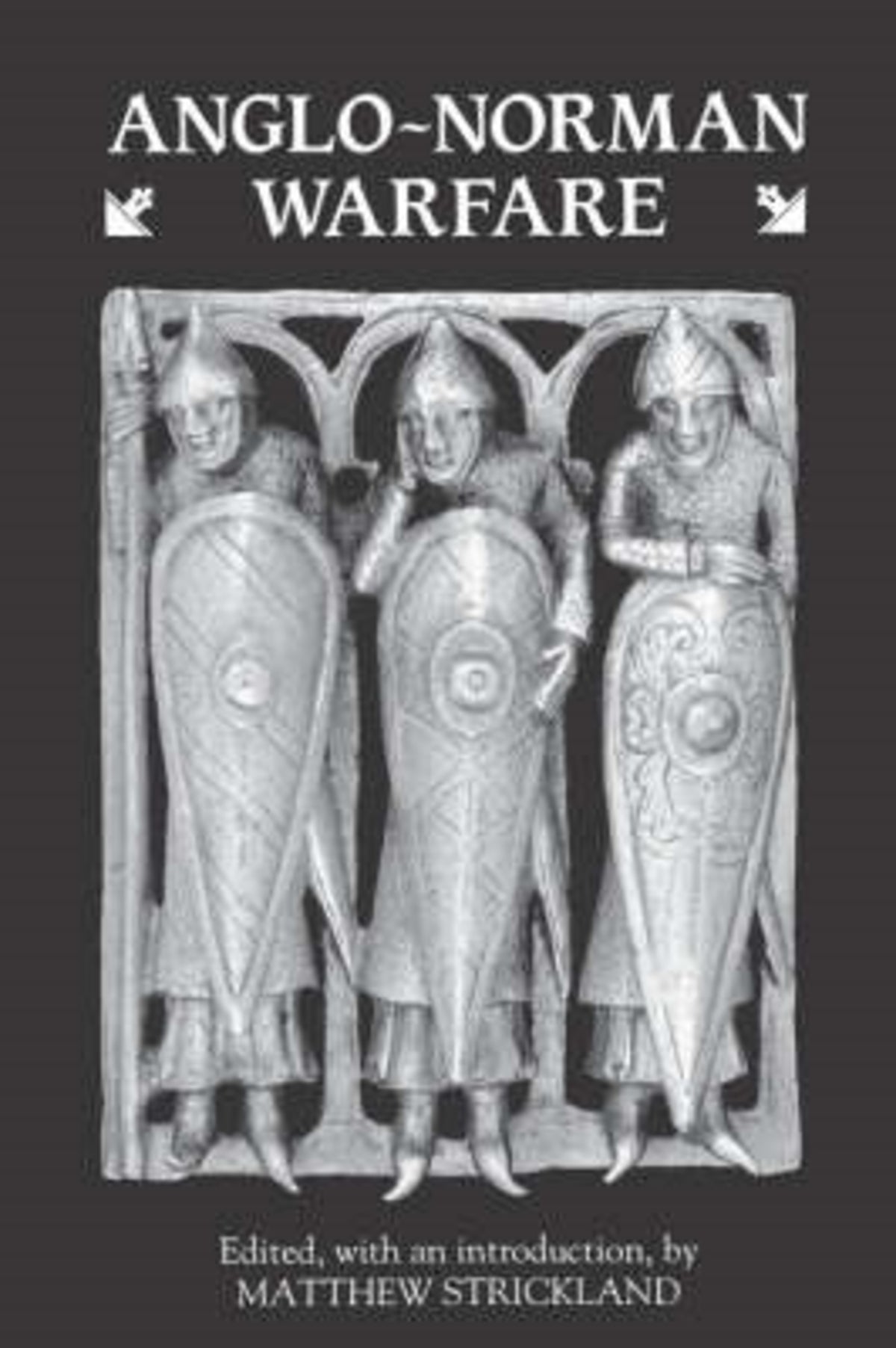 Cover image for Anglo-Norman Warfare ISBN 9780851153285