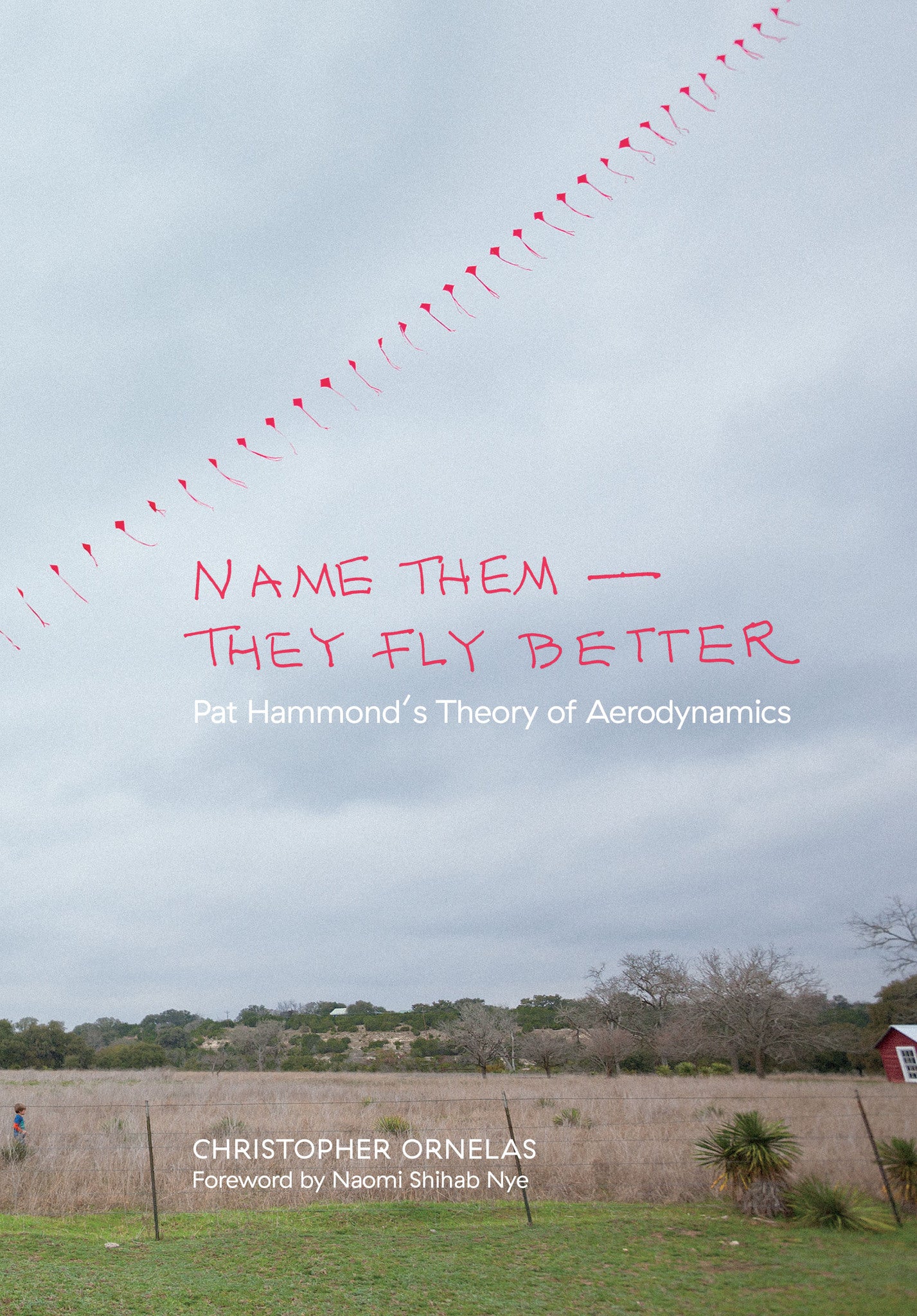 Cover image for Name Them—They Fly Better ISBN 9781595348197