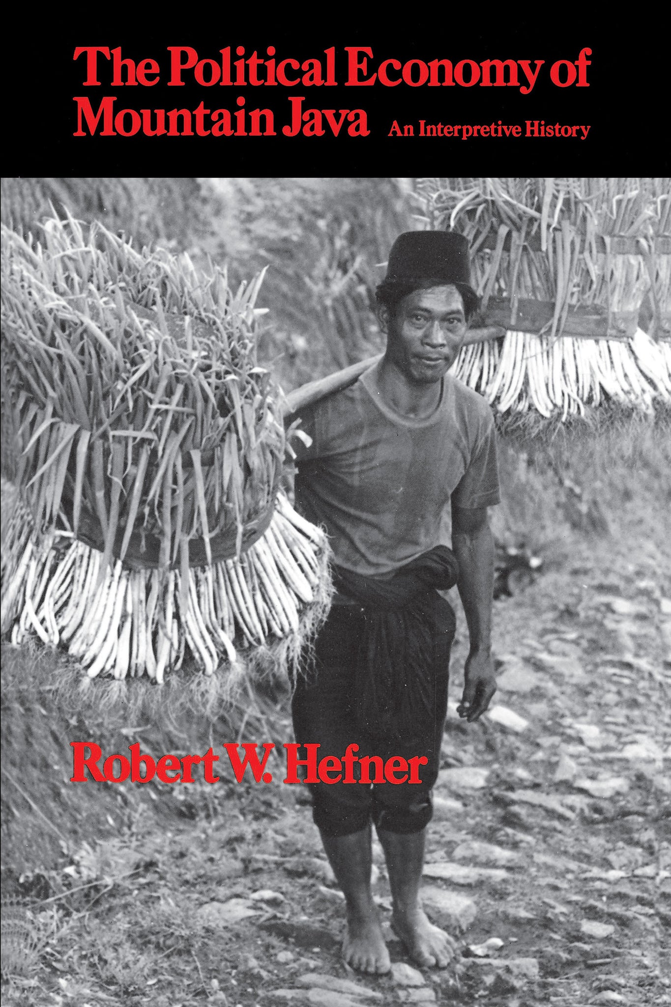 The Political Economy of Mountain Java
