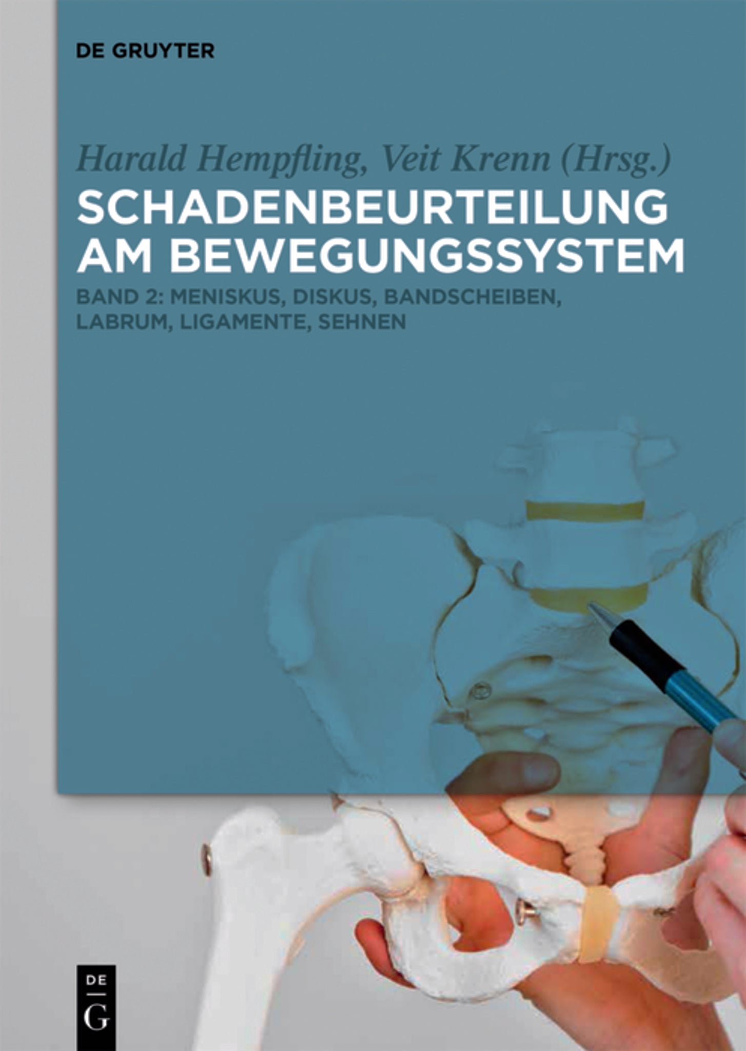 Meniskus, Diskus, Bandscheiben, Labrum, Ligamente, Sehnen