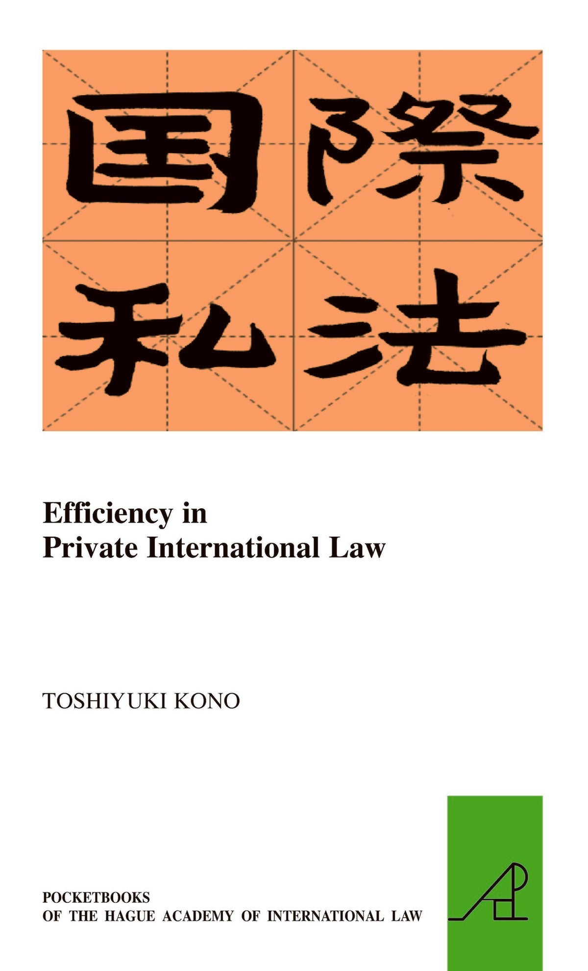 Cover image for Efficiency in Private International Law ISBN 9789004285064