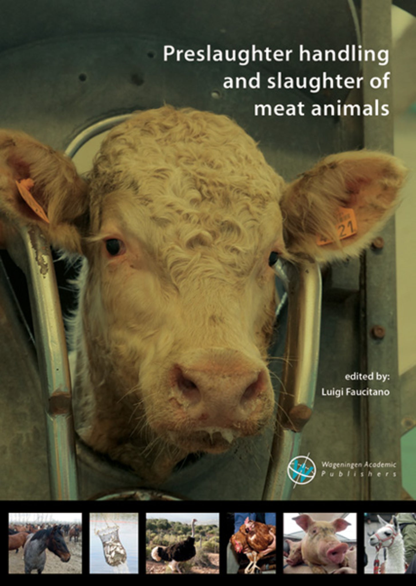 Preslaughter handling and slaughter of meat animals