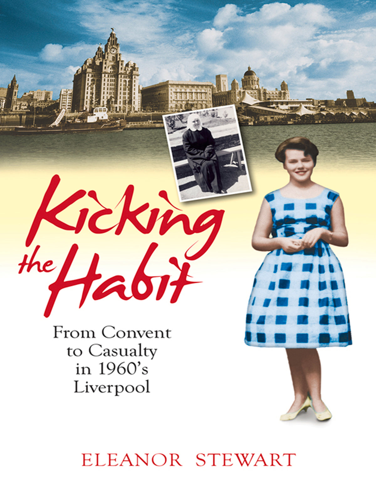 Cover image for Kicking the Habit ISBN 9780745957708