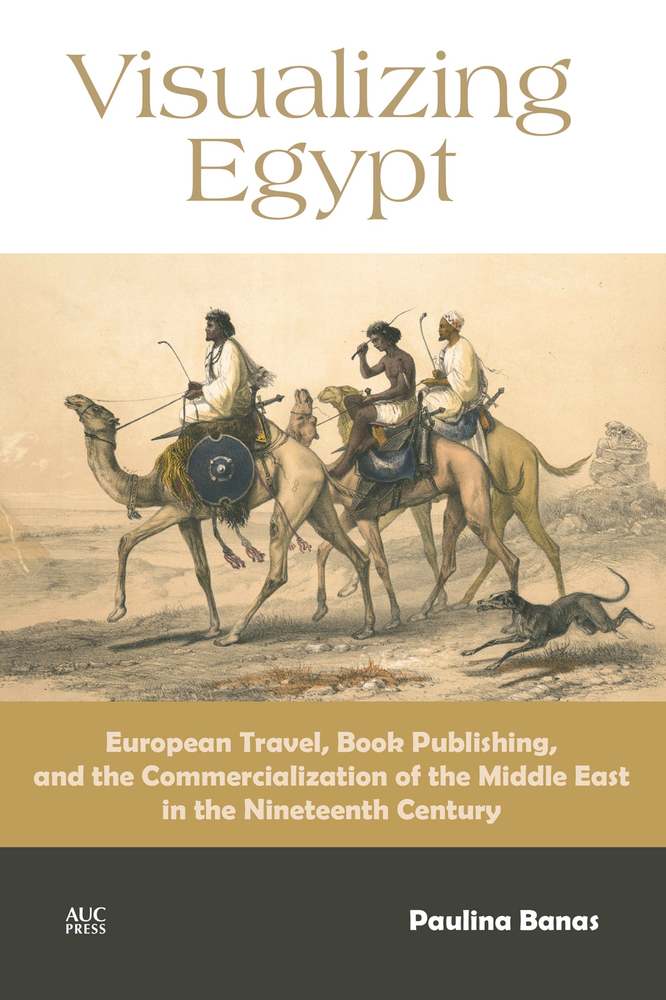 Cover image for Visualizing Egypt: ISBN 9781649033833
