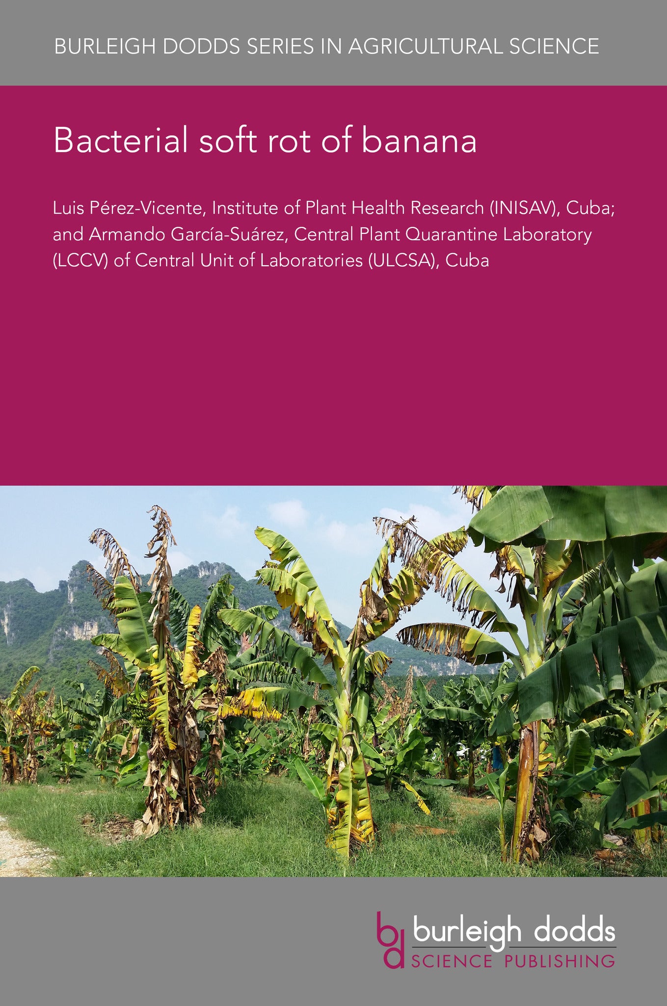 Cover image for Bacterial soft rot of banana ISBN 9781835451090