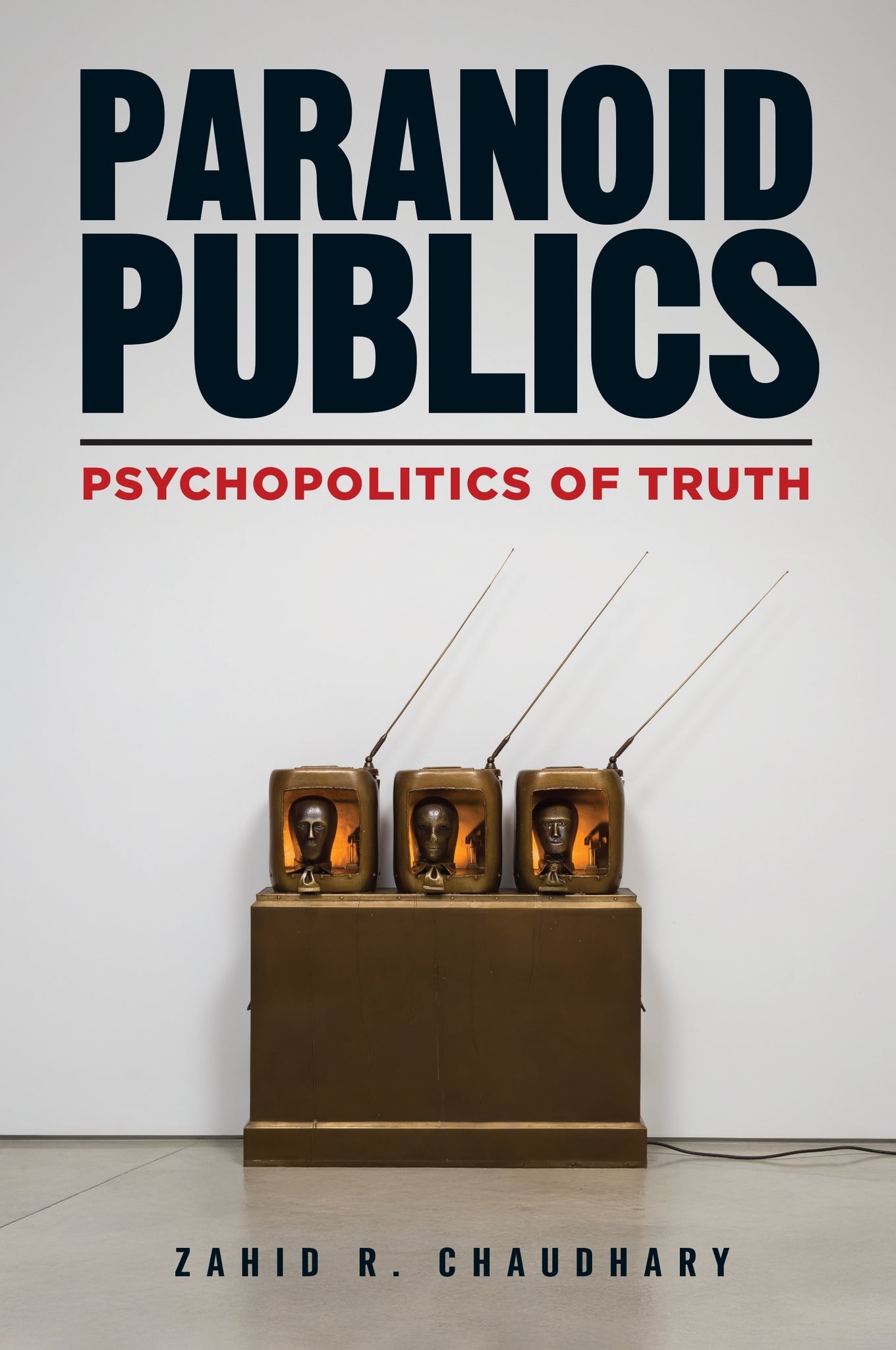 Cover image for Paranoid Publics ISBN 9781531511869