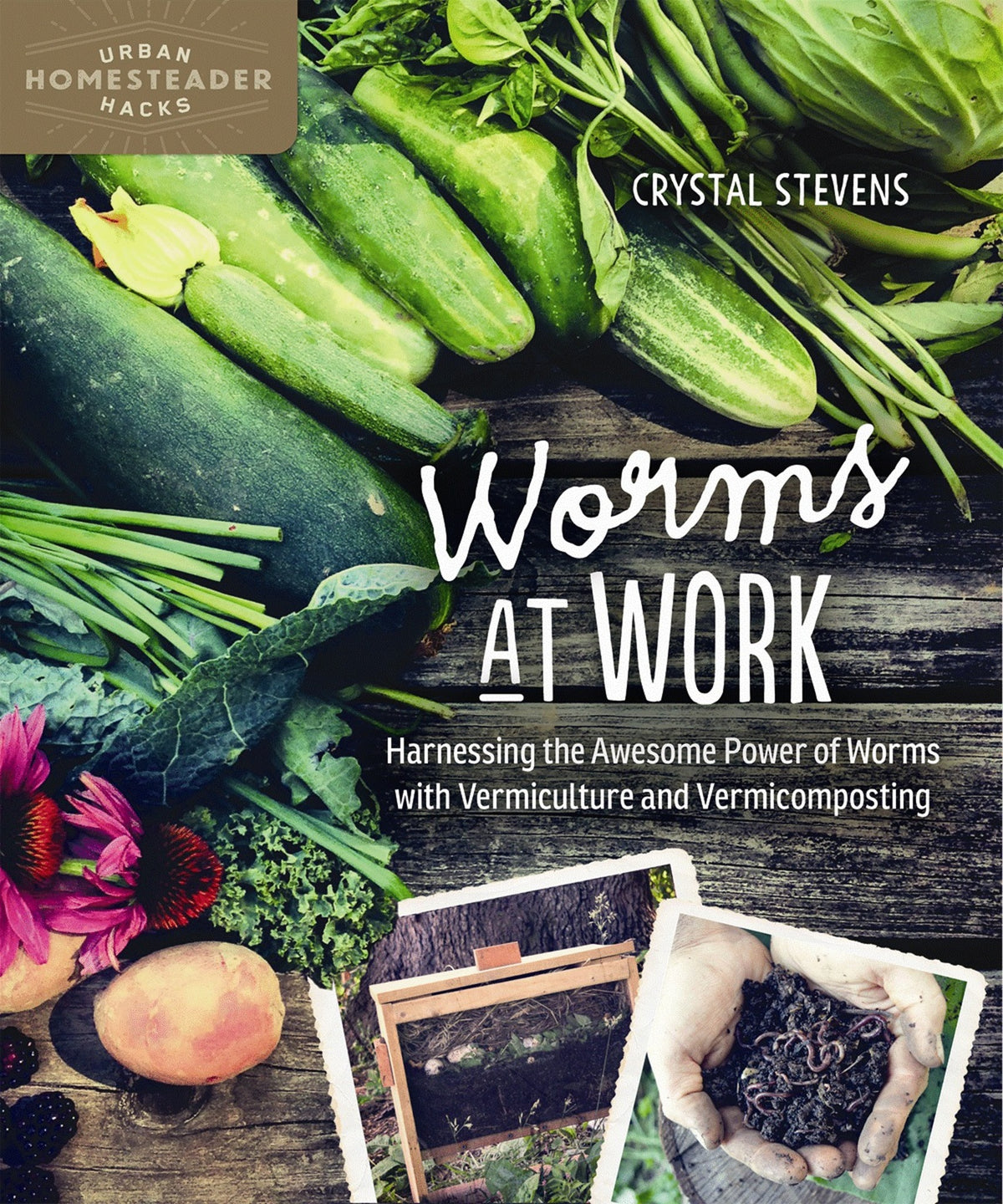Cover image for Worms at Work ISBN 9780865718401