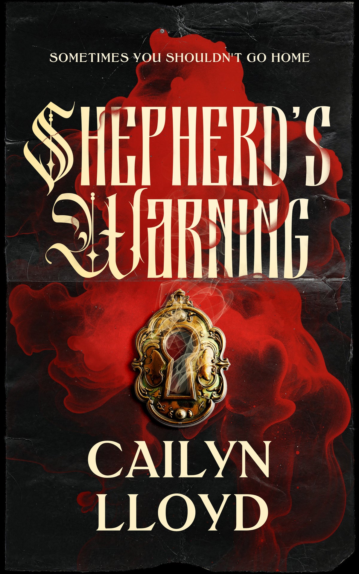 Cover image for Shepherd's Warning ISBN 9781036715694