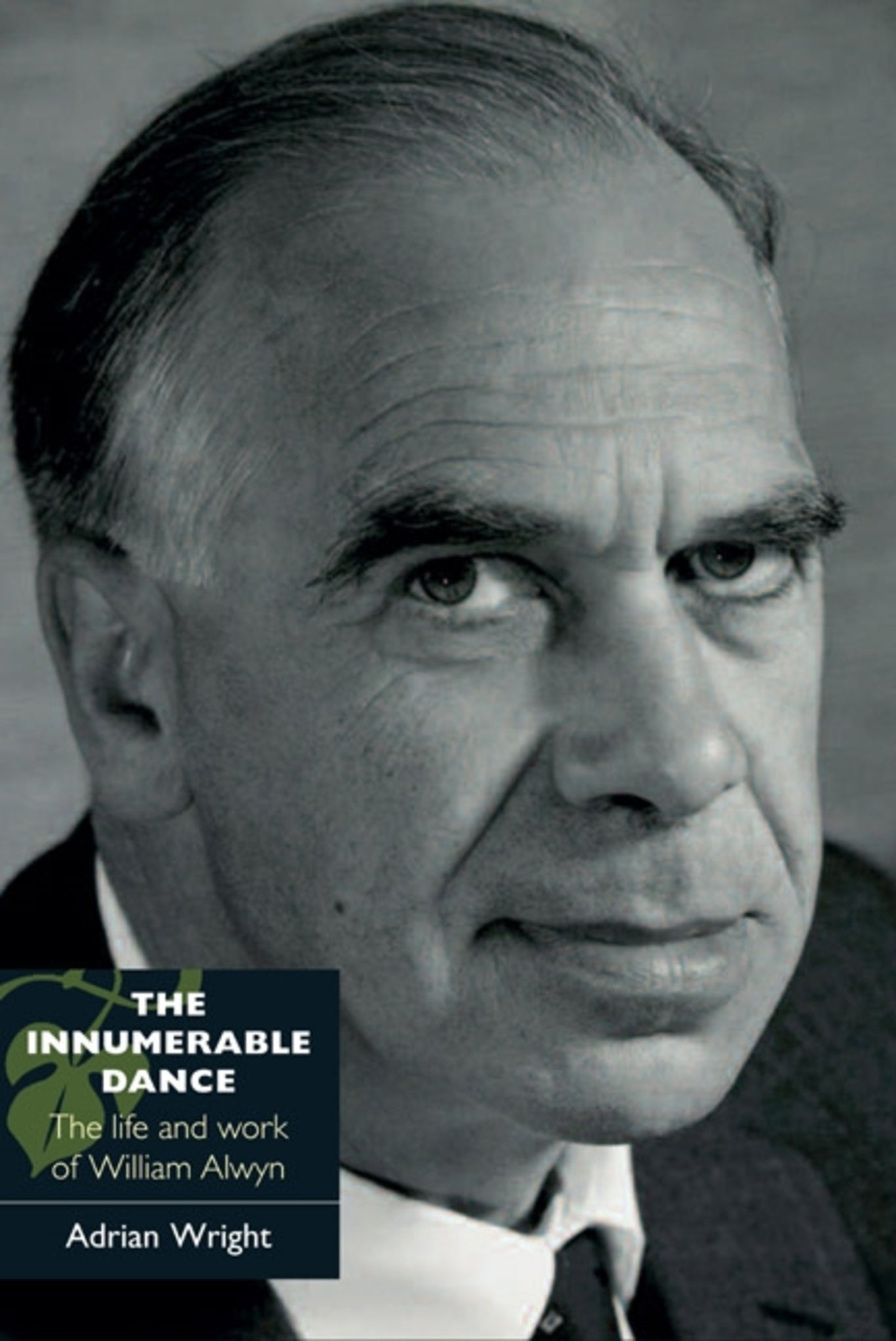 Cover image for The Innumerable Dance ISBN 9781843834120