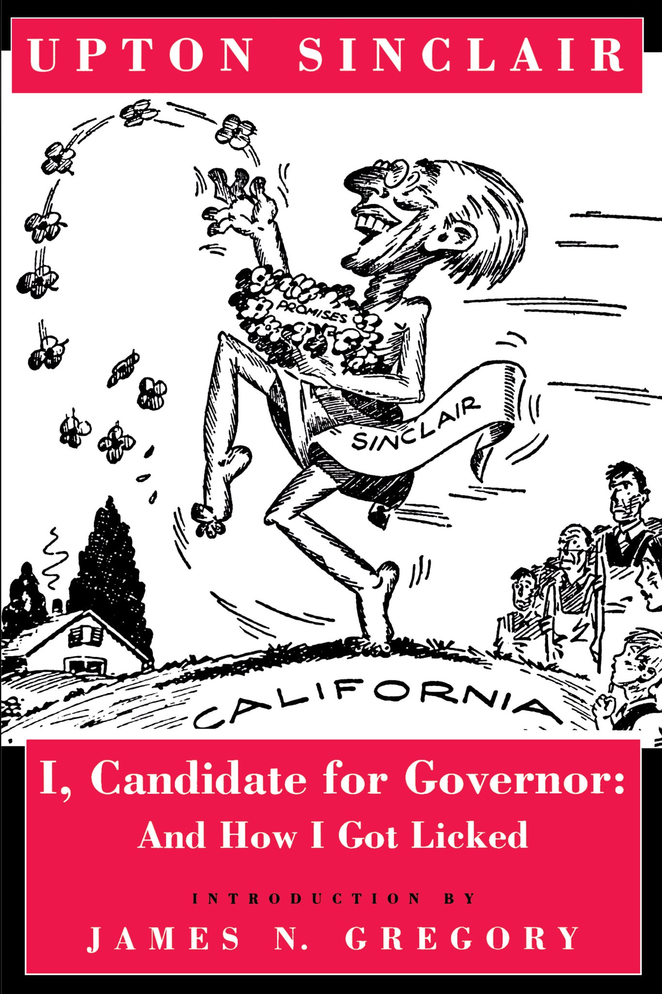 I, Candidate for Governor
