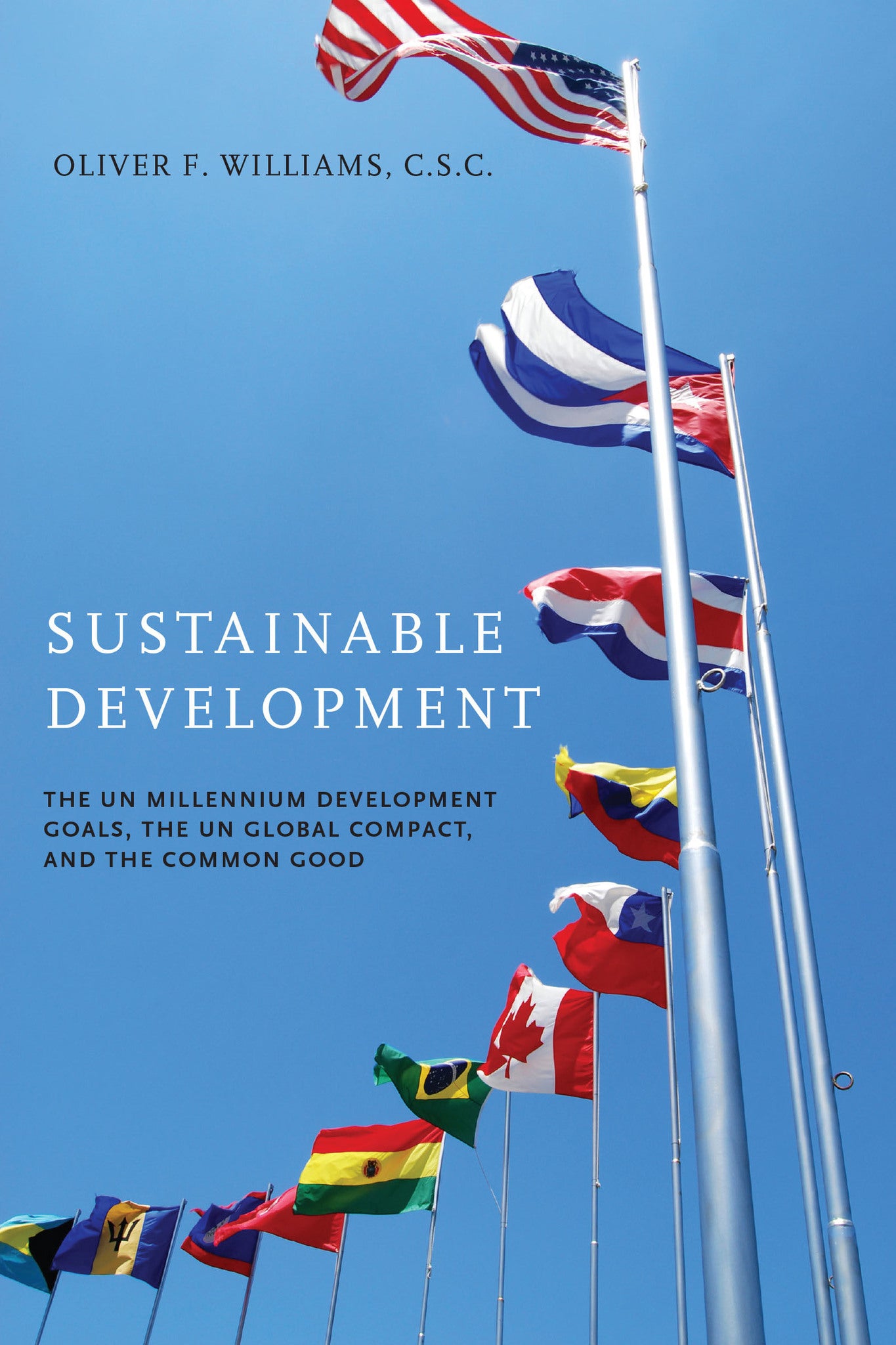 Cover image for Sustainable Development ISBN 9780268044299