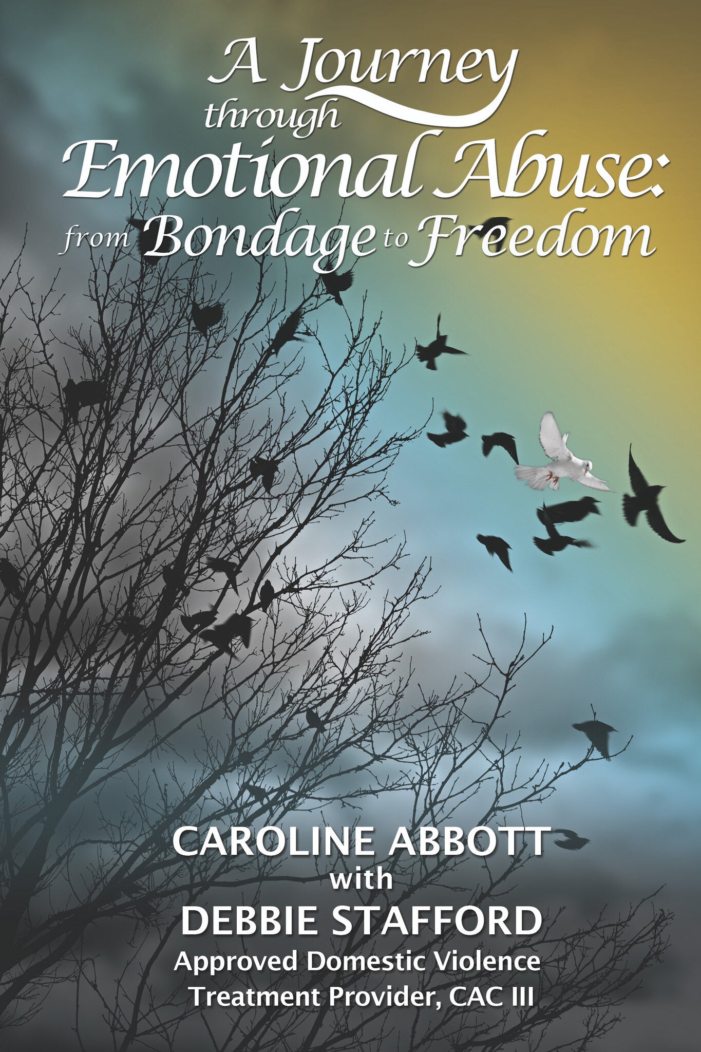 A Journey through Emotional Abuse