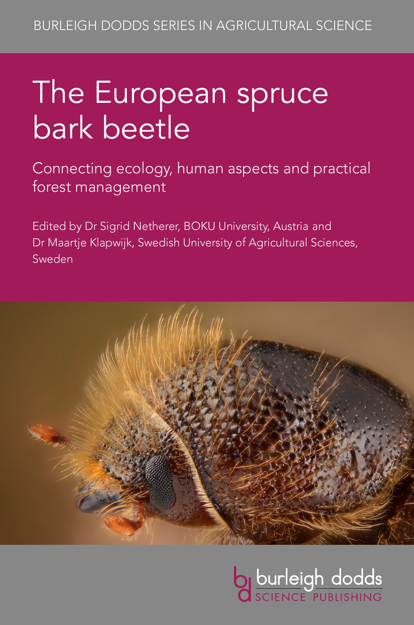 Cover image for The European spruce bark beetle ISBN 9781835450826