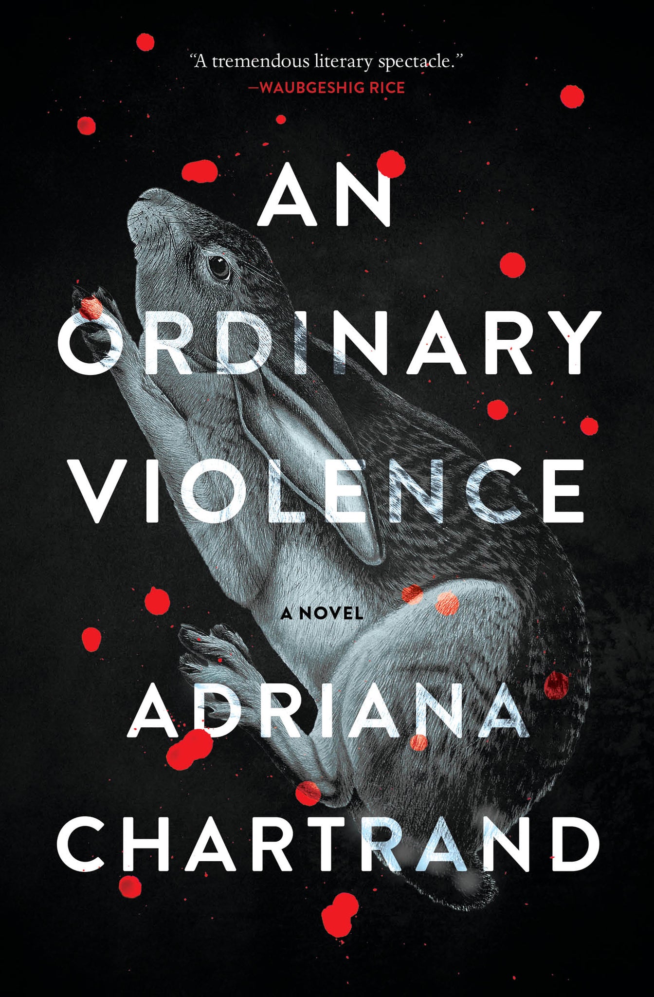 Cover image for An Ordinary Violence ISBN 9781487011888