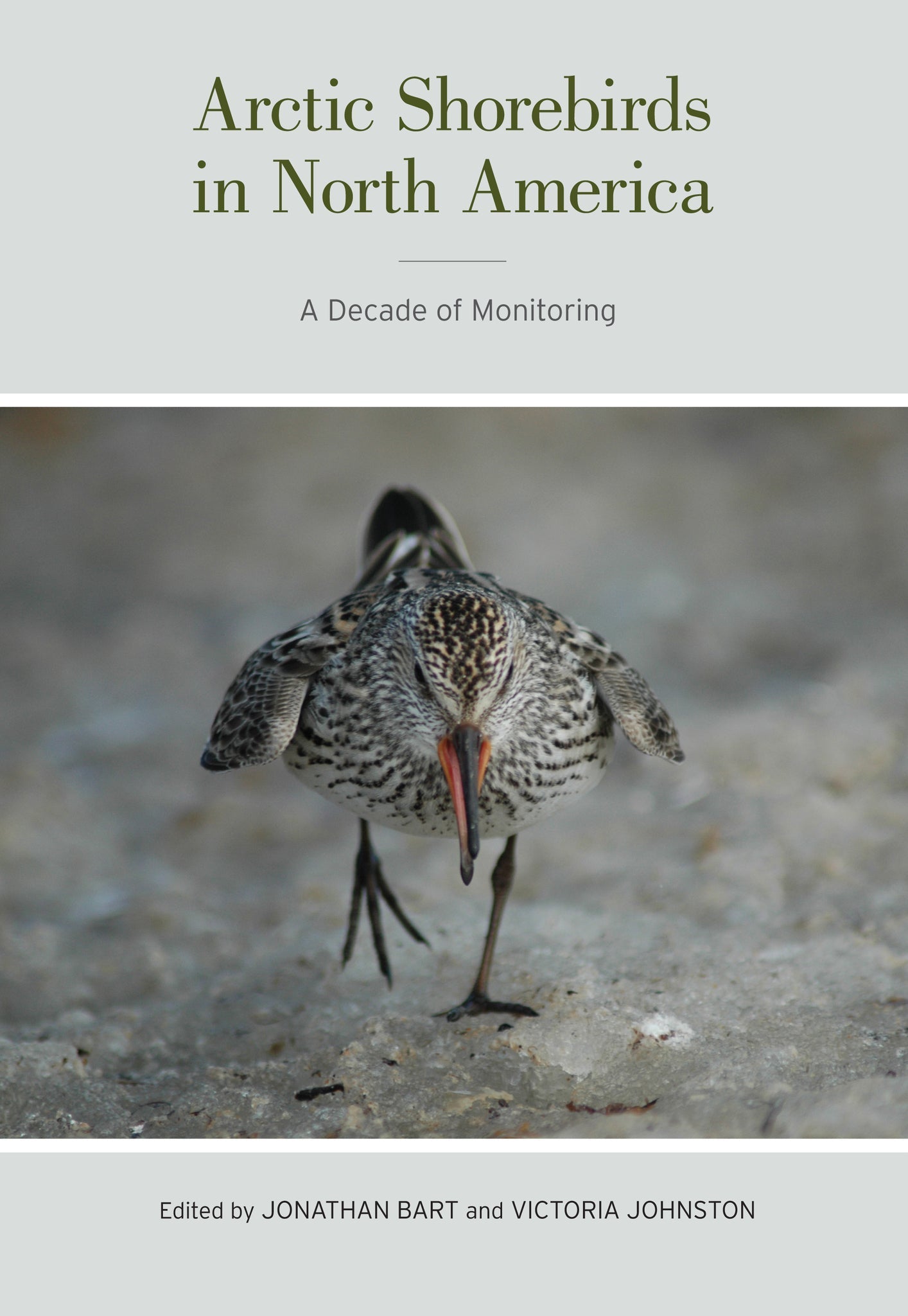 Cover image for Arctic Shorebirds in North America ISBN 9780520953499