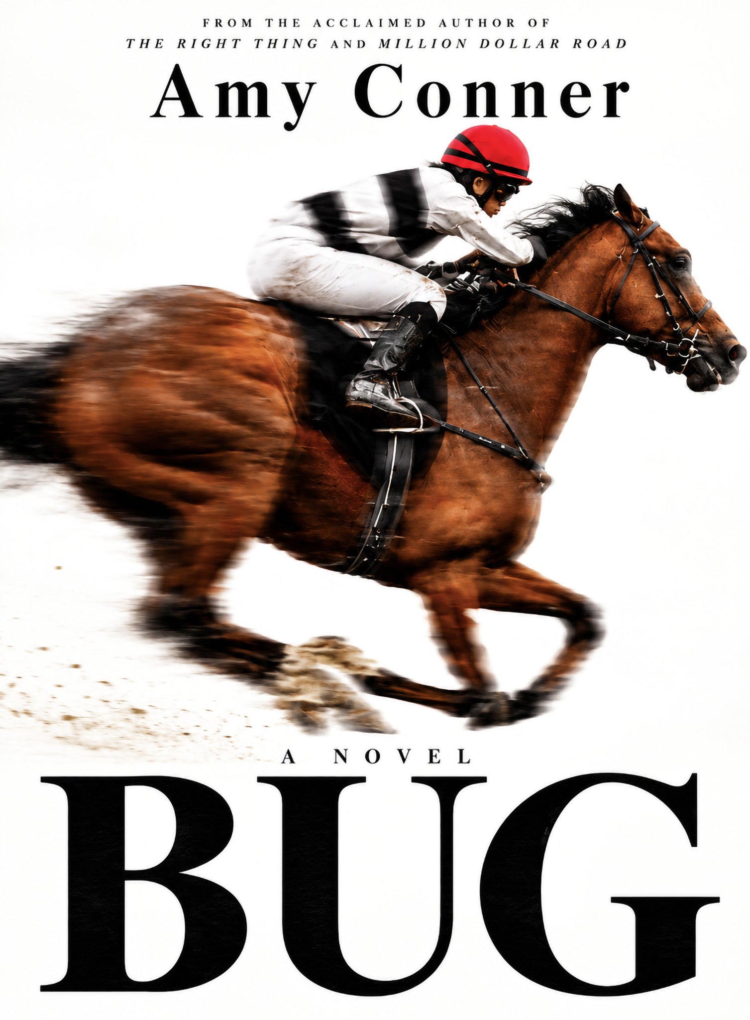 Cover image for Bug ISBN 9798997336745