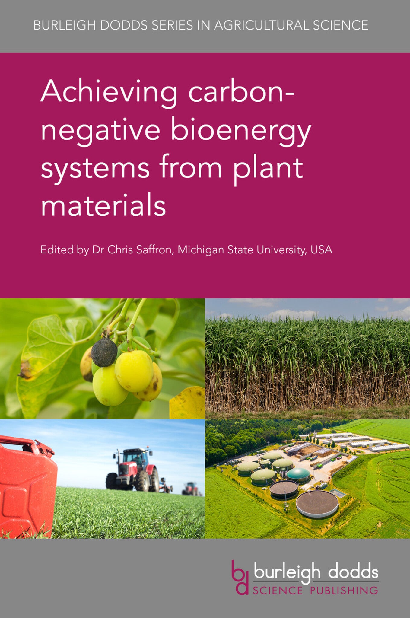 Cover image for Achieving carbon-negative bioenergy systems from plant materials ISBN 9781786762559