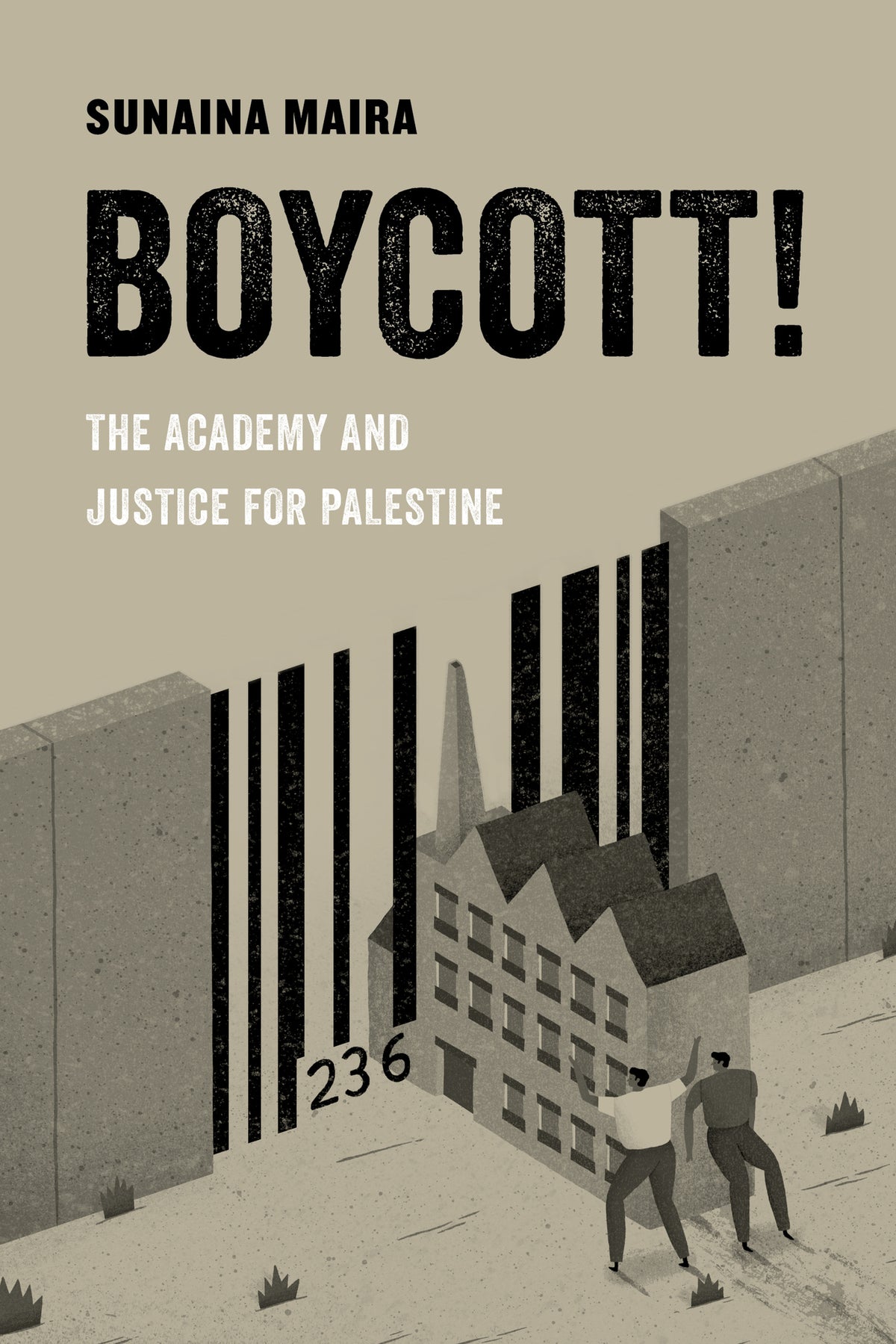 Cover image for Boycott! ISBN 9780520294899