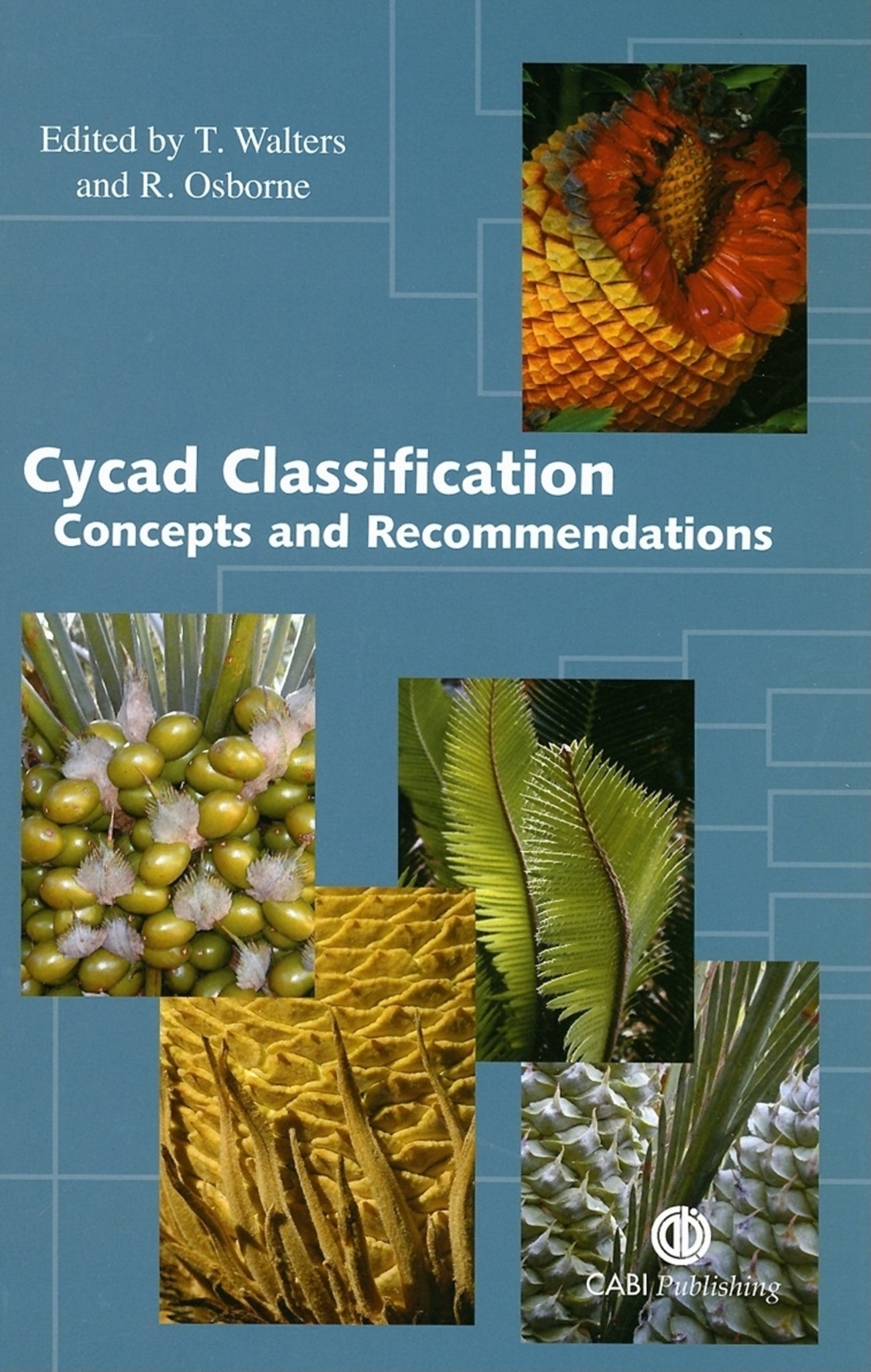 Cycad Classification