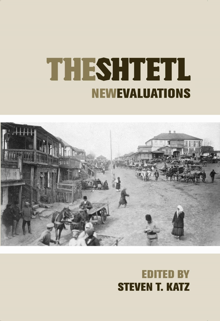 Cover image for The Shtetl ISBN 9780814748312
