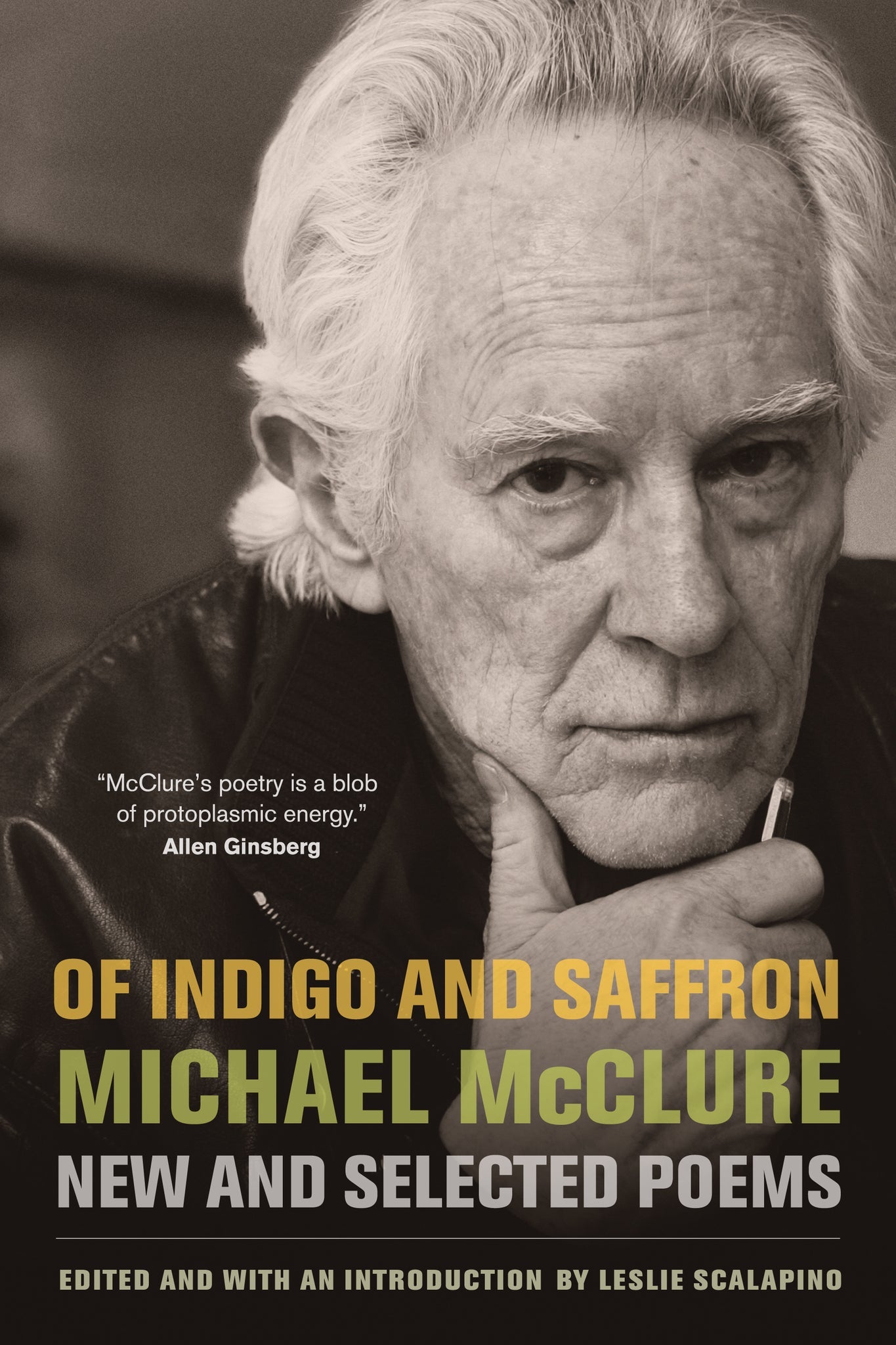 Cover image for Of Indigo and Saffron ISBN 9780520947337