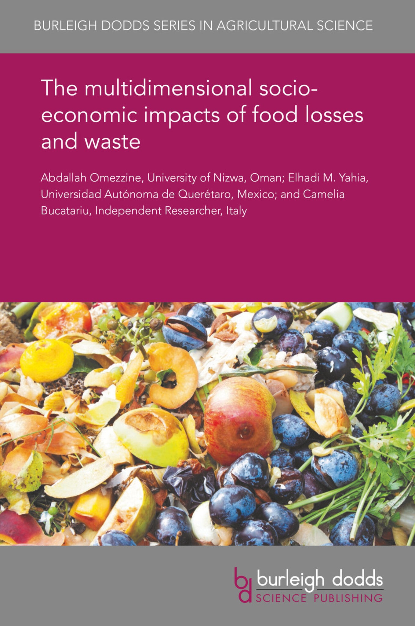 Cover image for The multidimensional socio-economic impacts of food losses and waste ISBN 9781786766779
