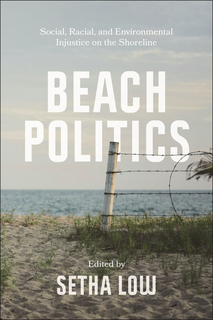 Cover image for Beach Politics ISBN 9781479821945