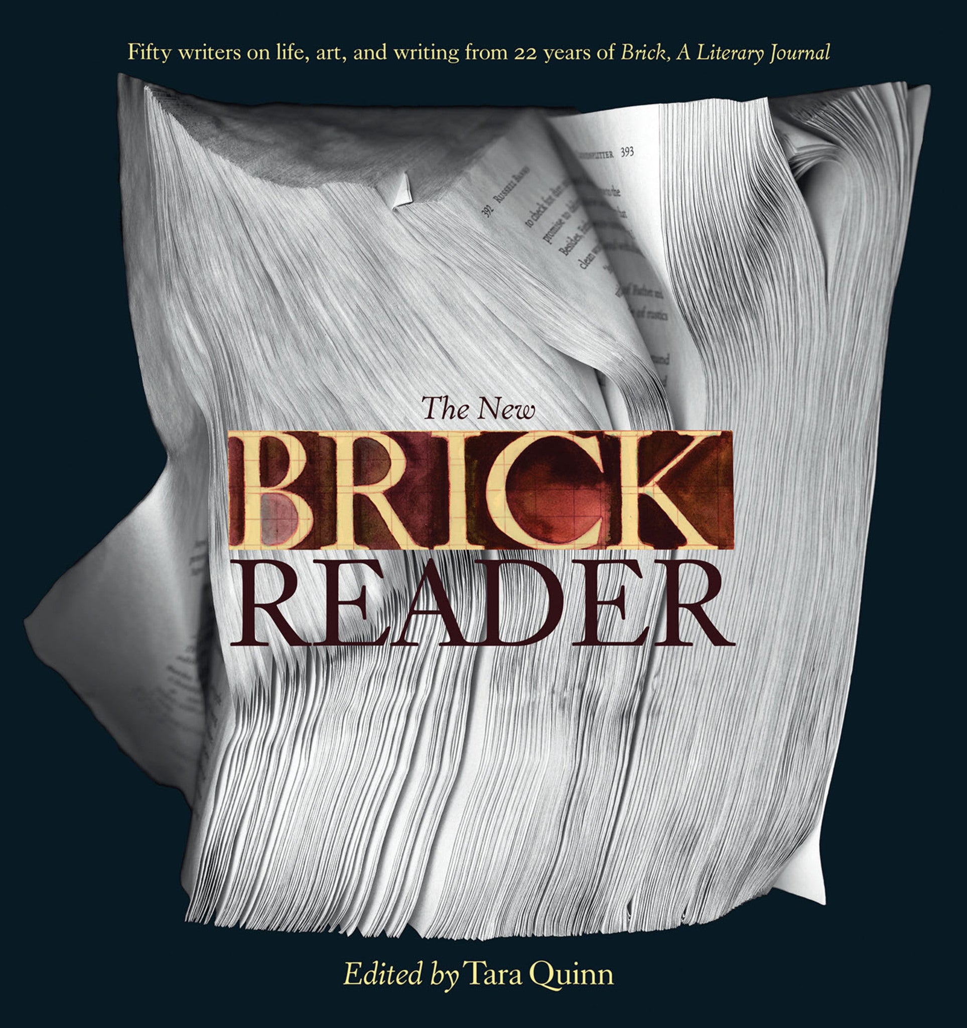 Cover image for The New Brick Reader ISBN 9781770894082