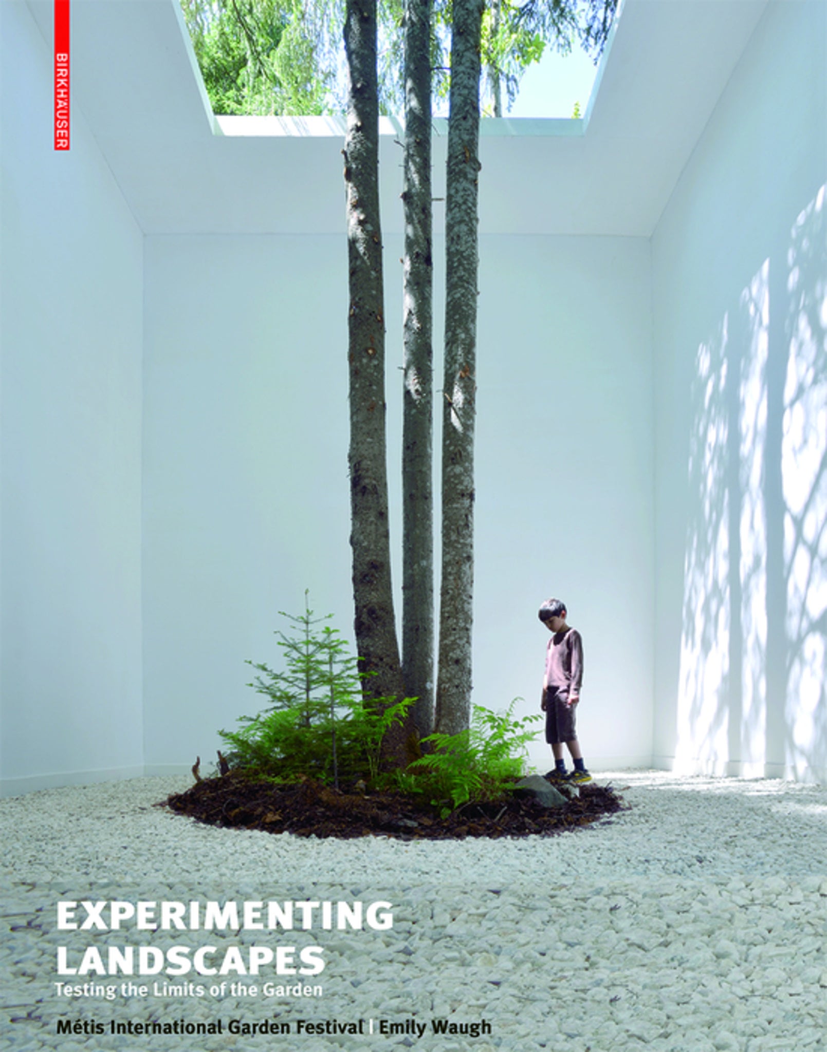 Cover image for Experimenting Landscapes ISBN 9783038219316