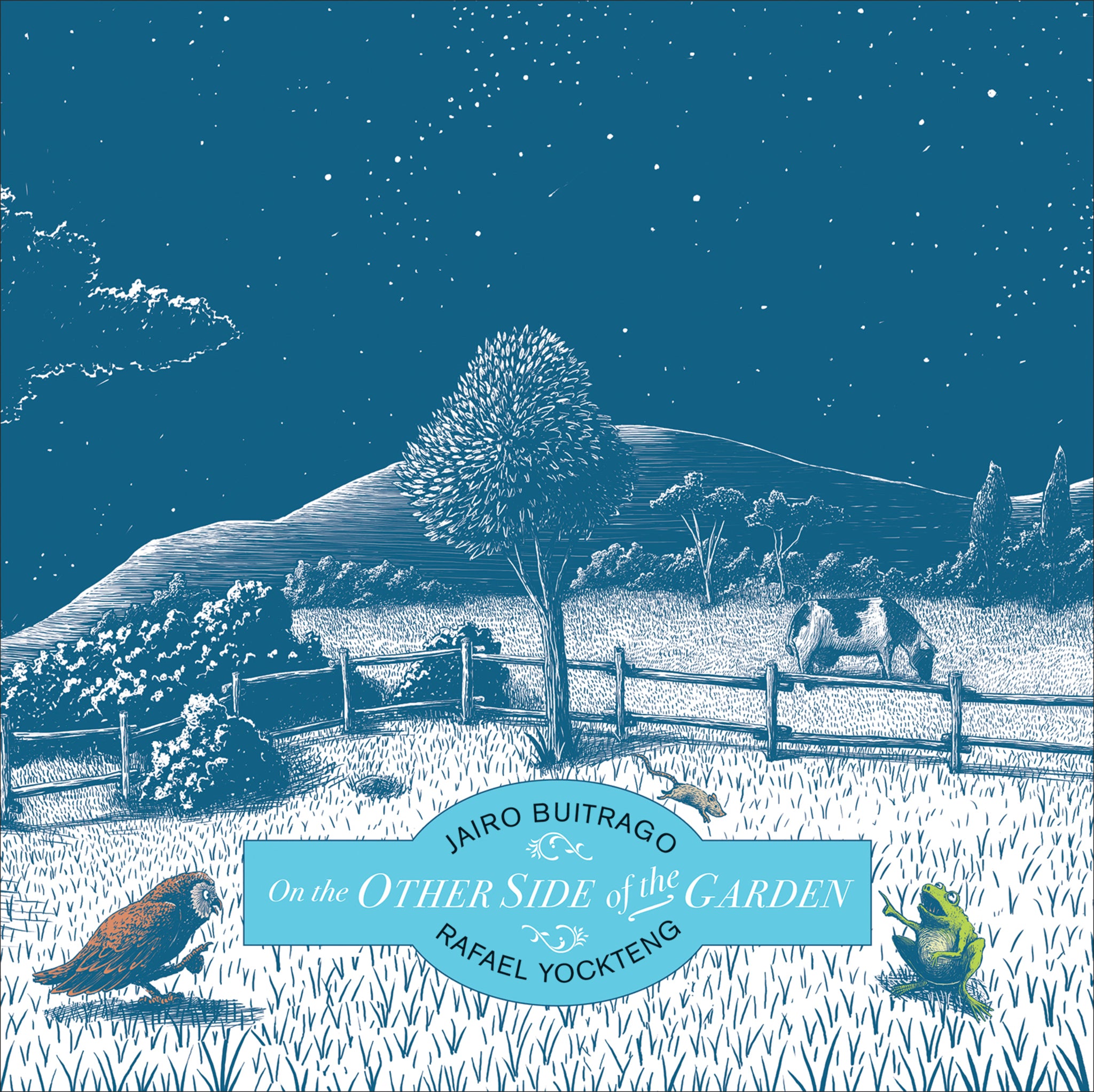 Cover image for On the Other Side of the Garden ISBN 9781554989836