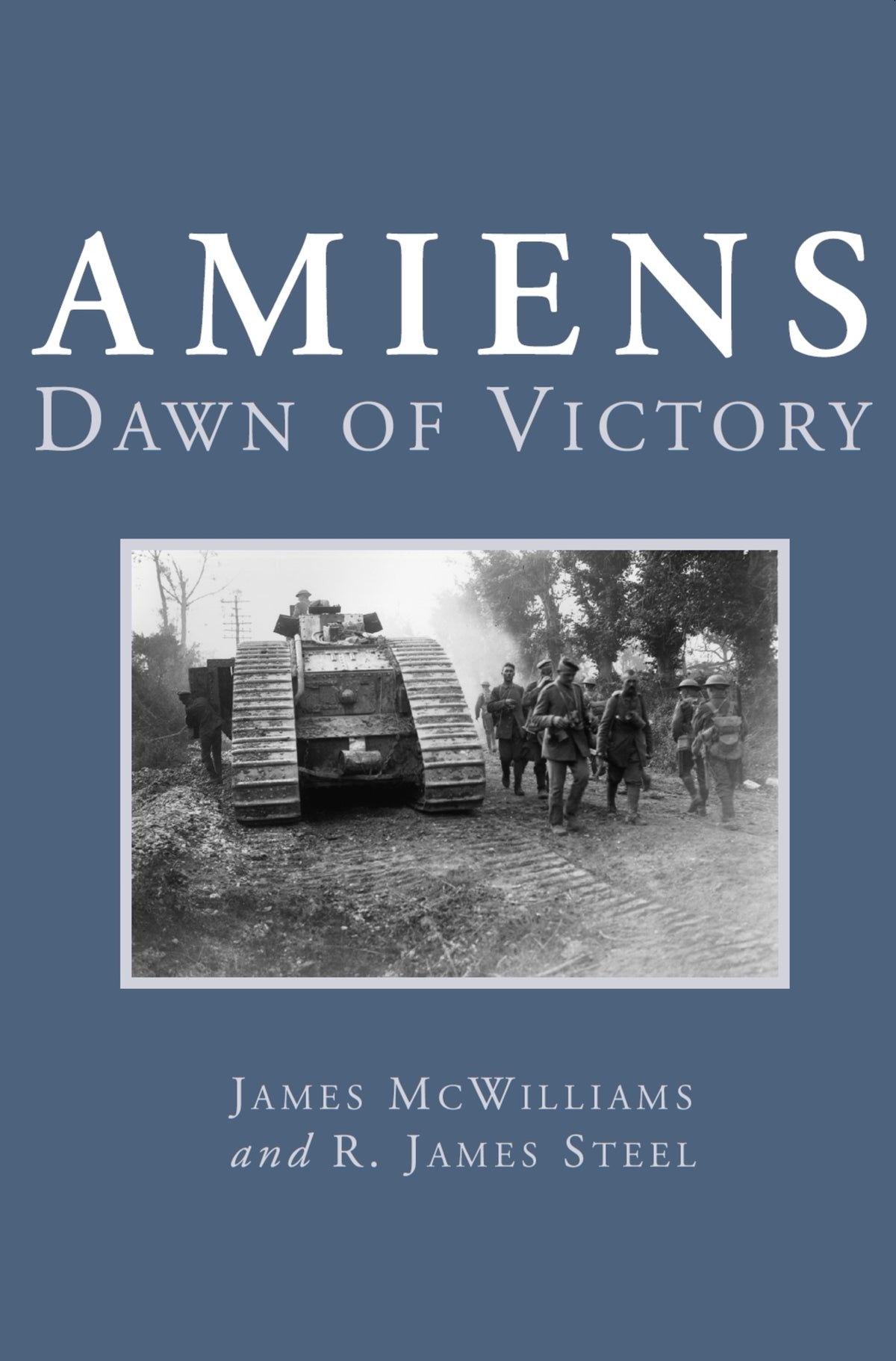 Cover image for Amiens ISBN 9781550023428
