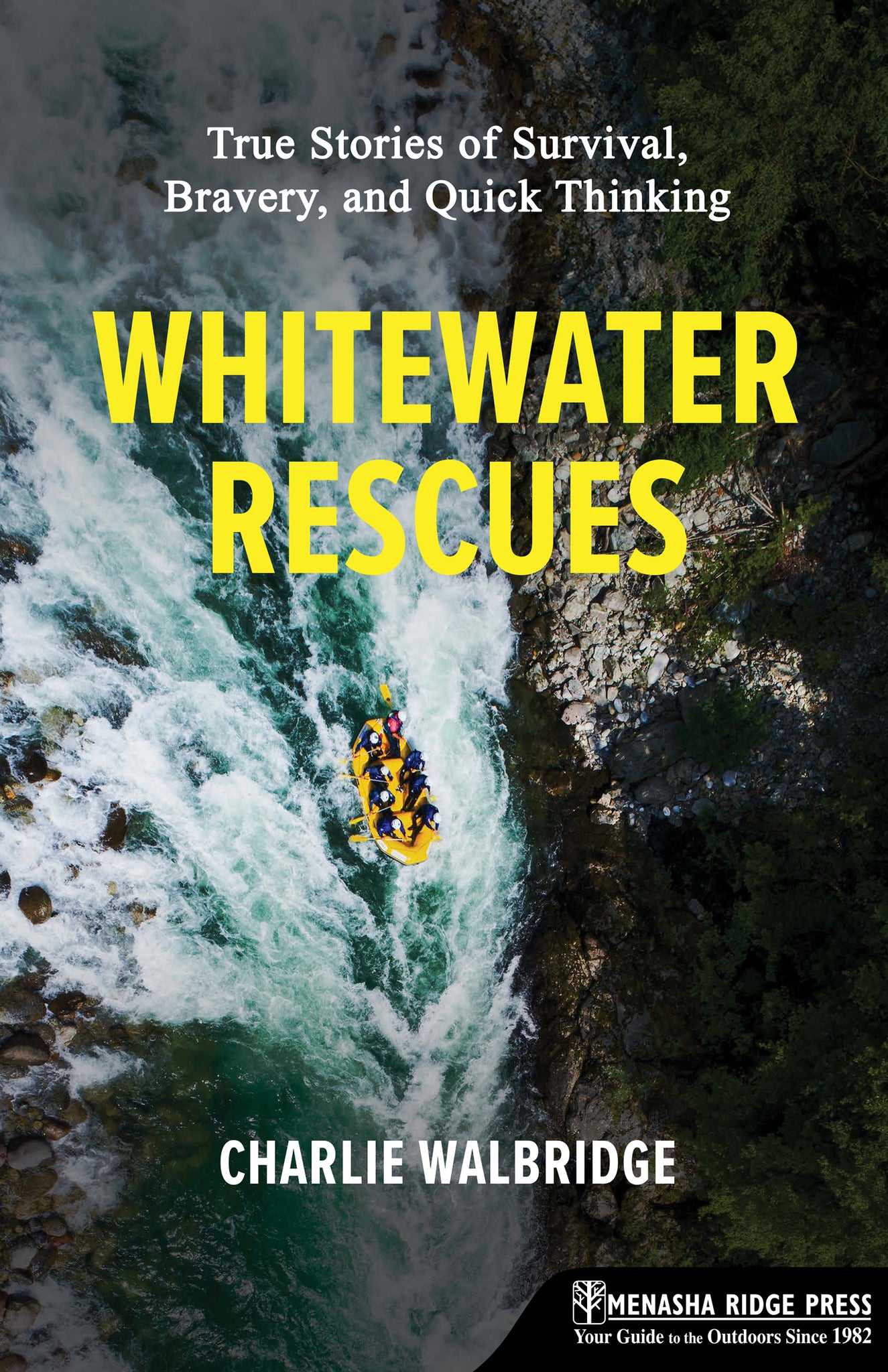 Cover image for Whitewater Rescues ISBN 9781634043854