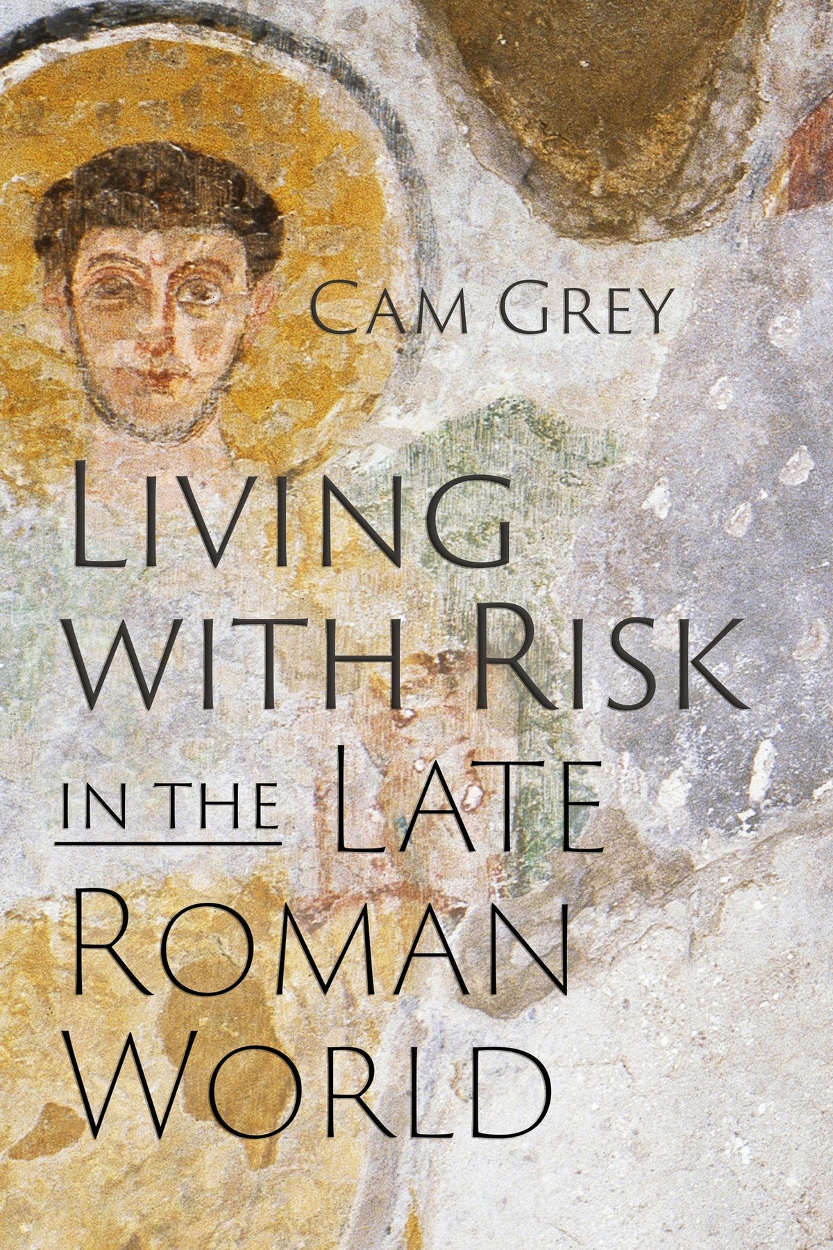 Cover image for Living with Risk in the Late Roman World ISBN 9781512827392