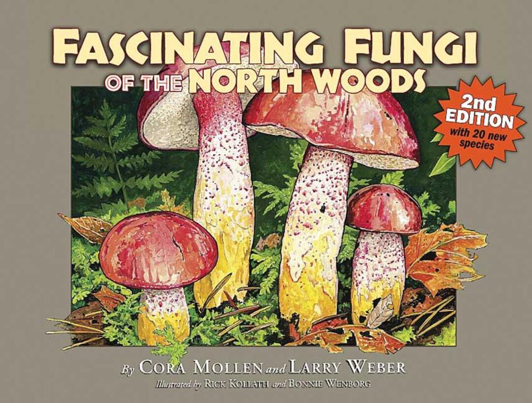 Cover image for Fascinating Fungi of the North Woods ISBN 9781936571031