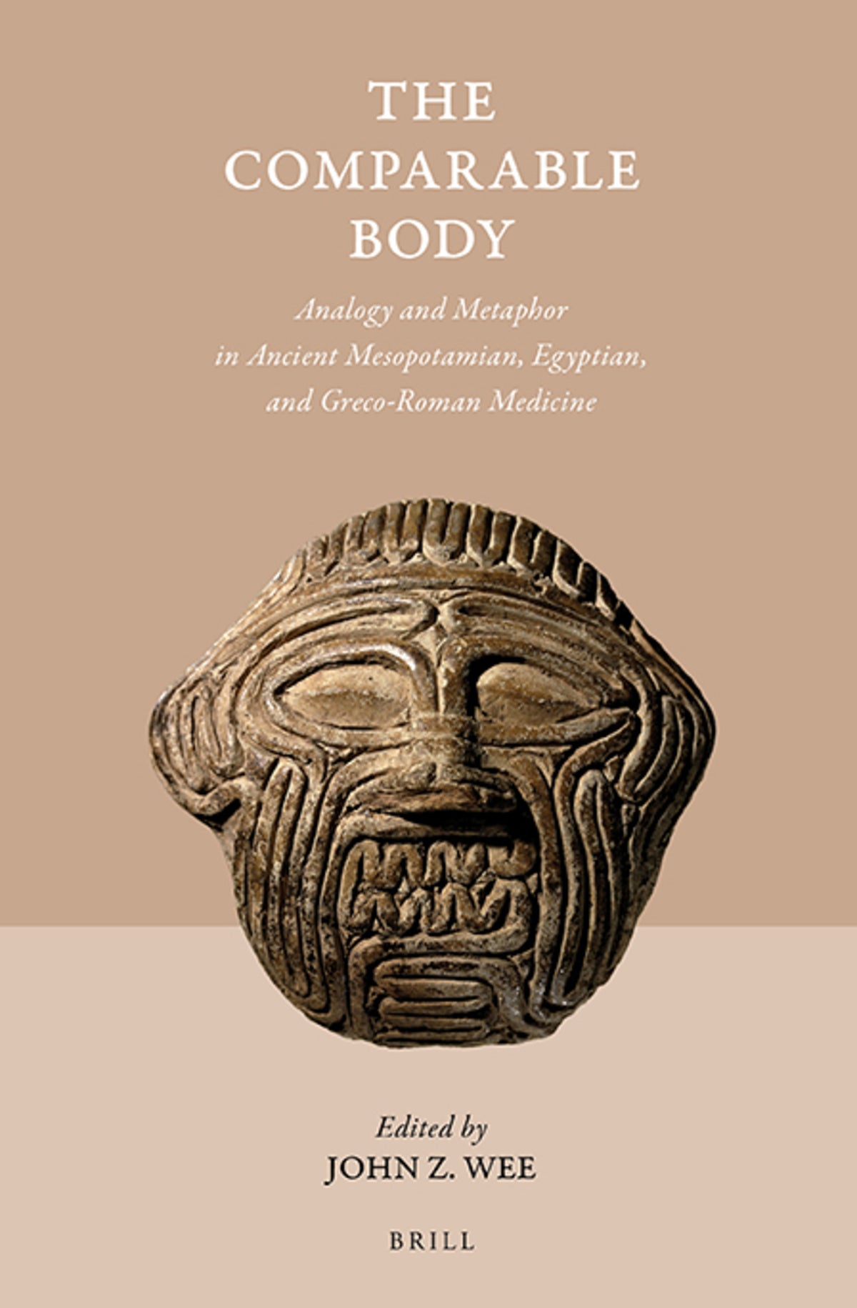 Cover image for The Comparable Body - Analogy and Metaphor in Ancient Mesopotamian, Egyptian, and Greco-Roman Medicine ISBN 9789004356764