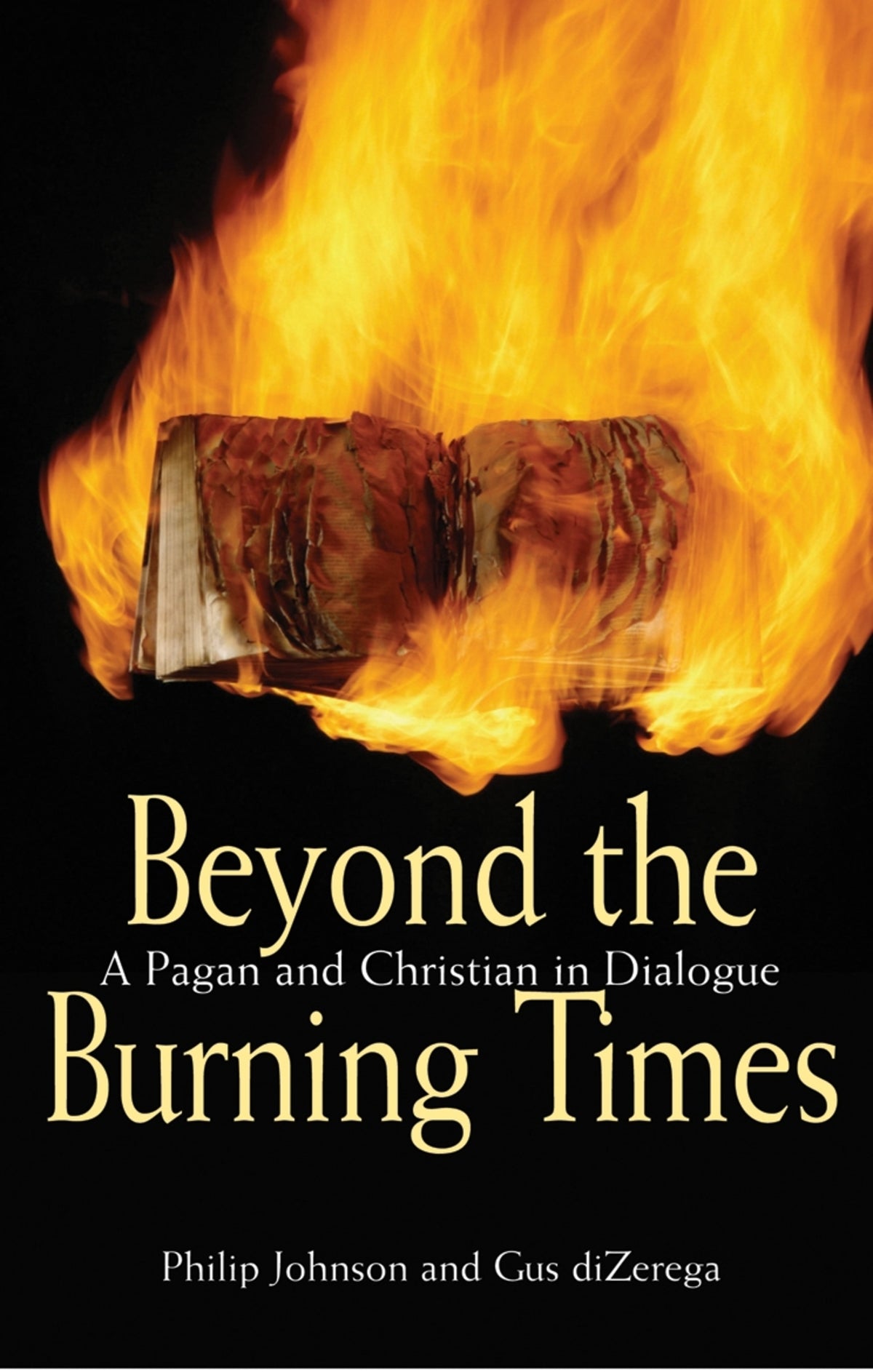 Cover image for Beyond the Burning Times ISBN 9780745952727